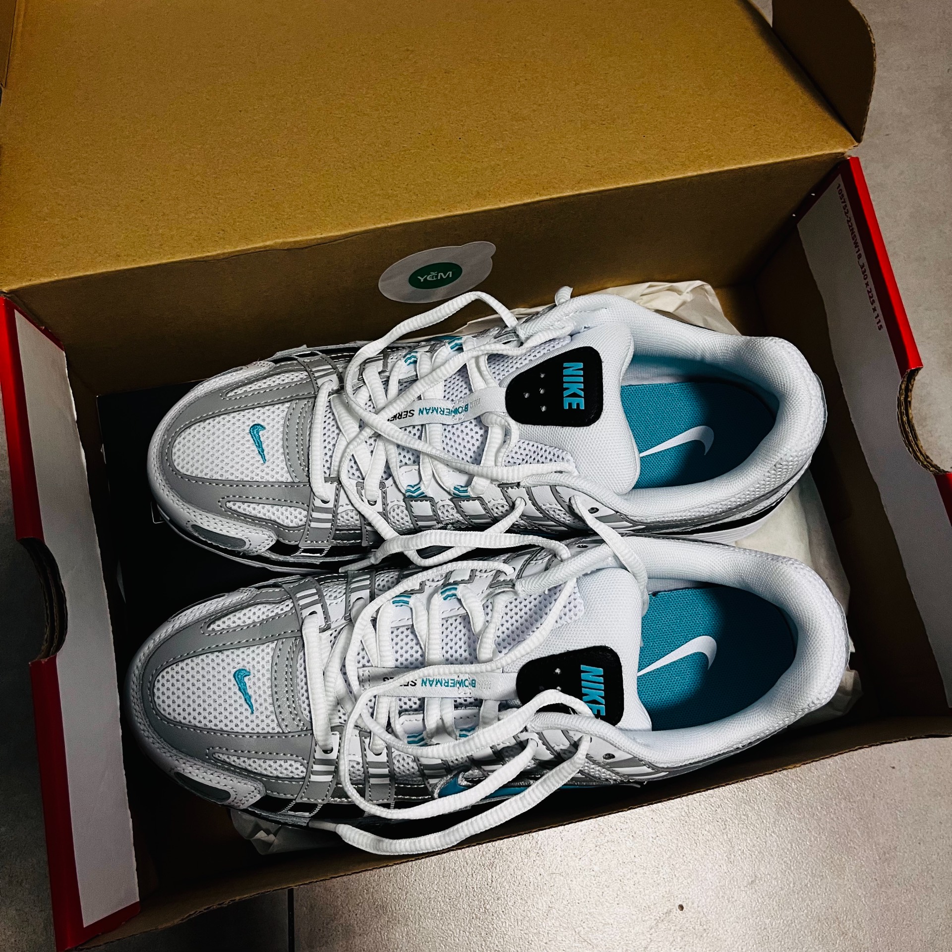 custom review-Nike P 6000 Устойчивый к истиранию Дышащий Низкий Топ Повседневная Городская Коммутерская Беговая Обувь Мужская Белый Синий