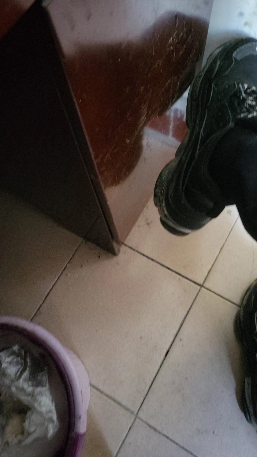 custom review-Adidas Originals Niteball Slip Resistant Abrasion Resistant Низкий Топ Повседневная Обувь Унисекс Серый