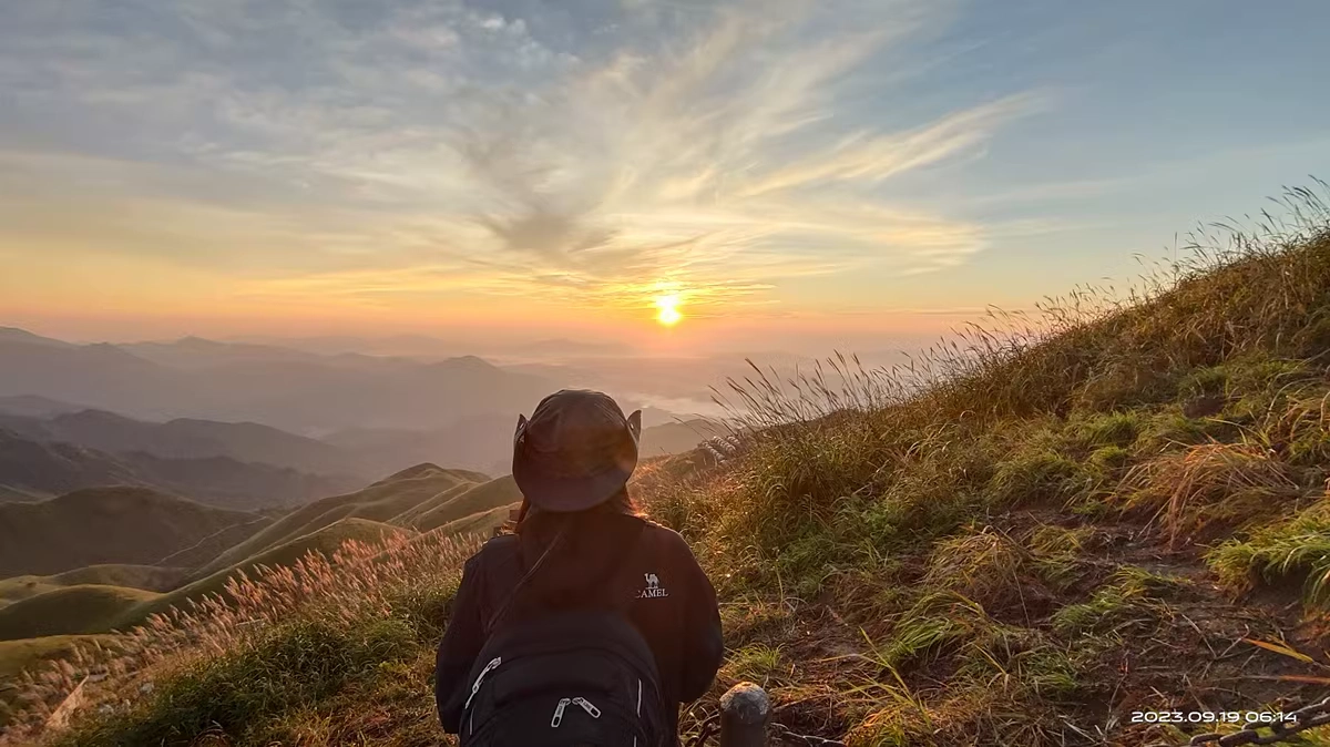 custom review-Верблюжий цвет Полиамид Панамы Унисекс