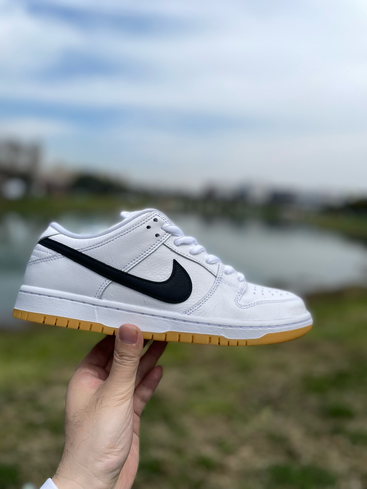 custom review-Nike Sb Dunk Low Pro 'White Gum'