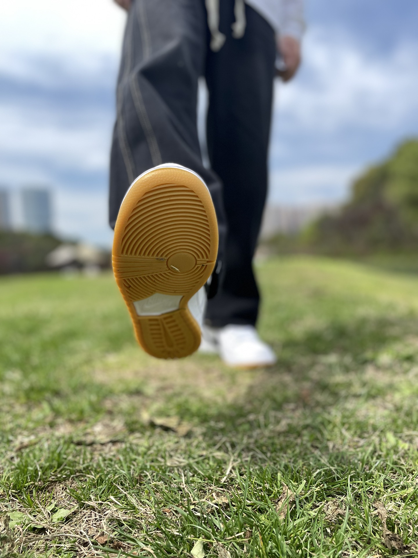 custom review-Nike Sb Dunk Low Pro 'White Gum'