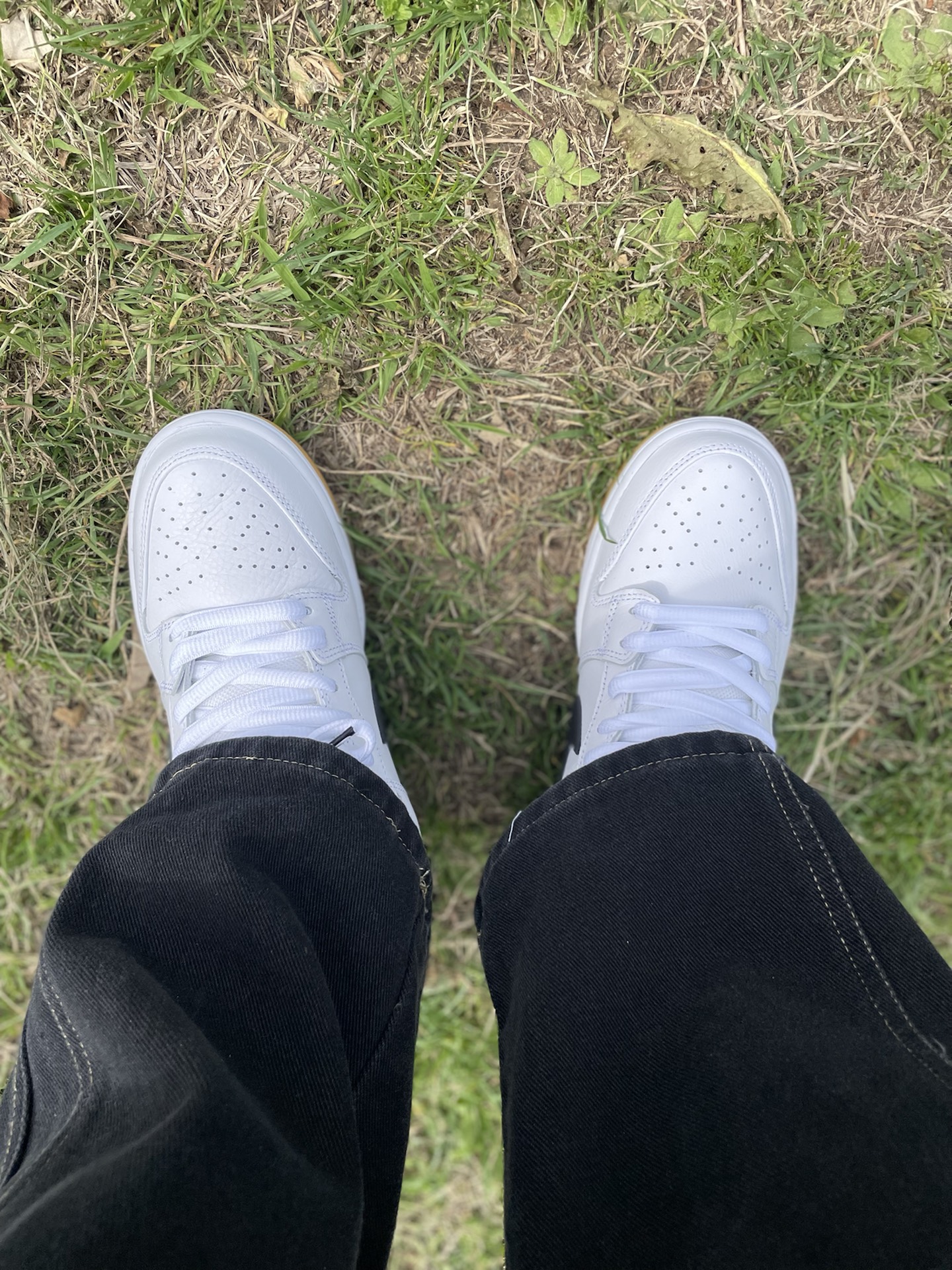 custom review-Nike Sb Dunk Low Pro 'White Gum'