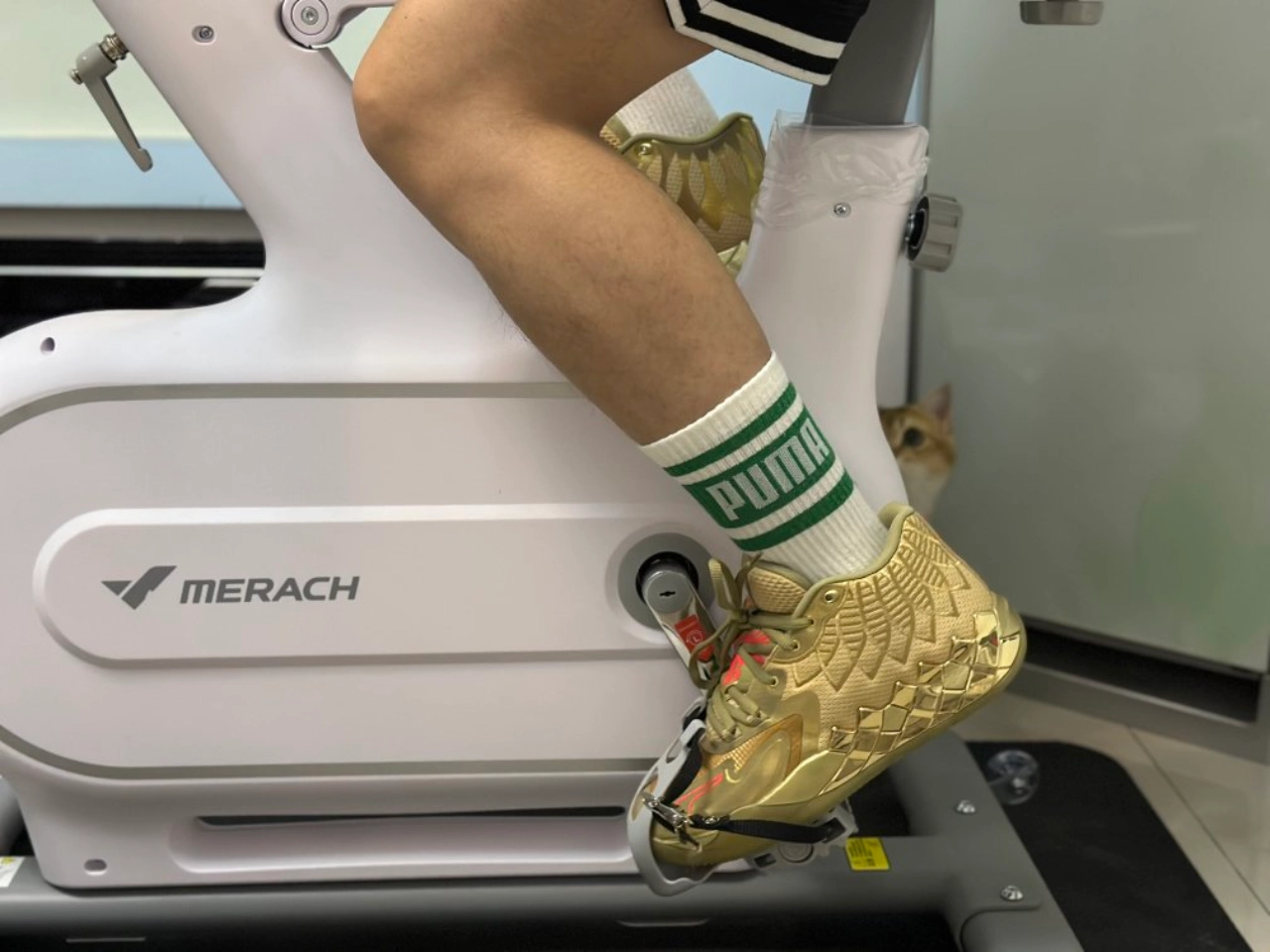 custom review-puma avis LaMelo Ball MB.01 Golden Child
