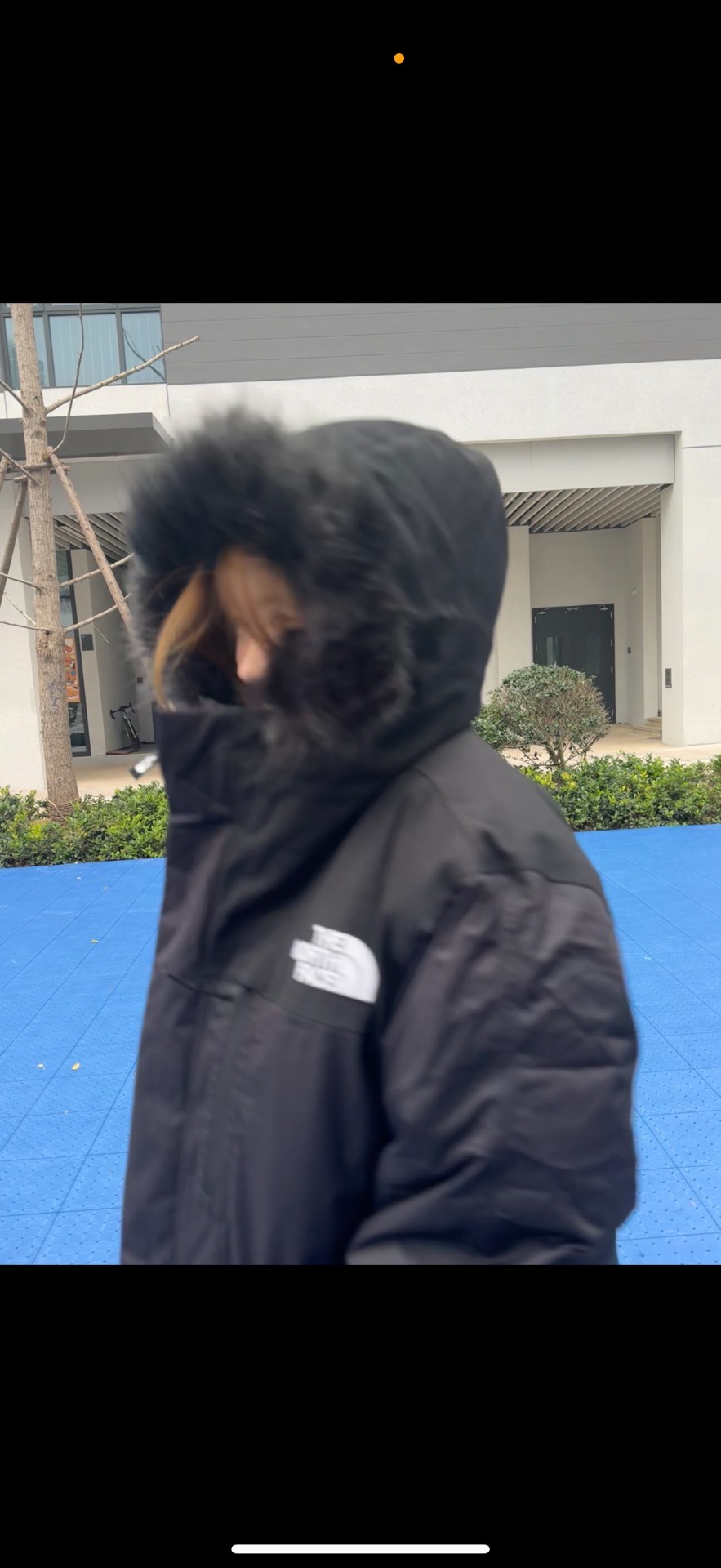 custom review-THE NORTH FACE Bedford Down Jacket Men's Black