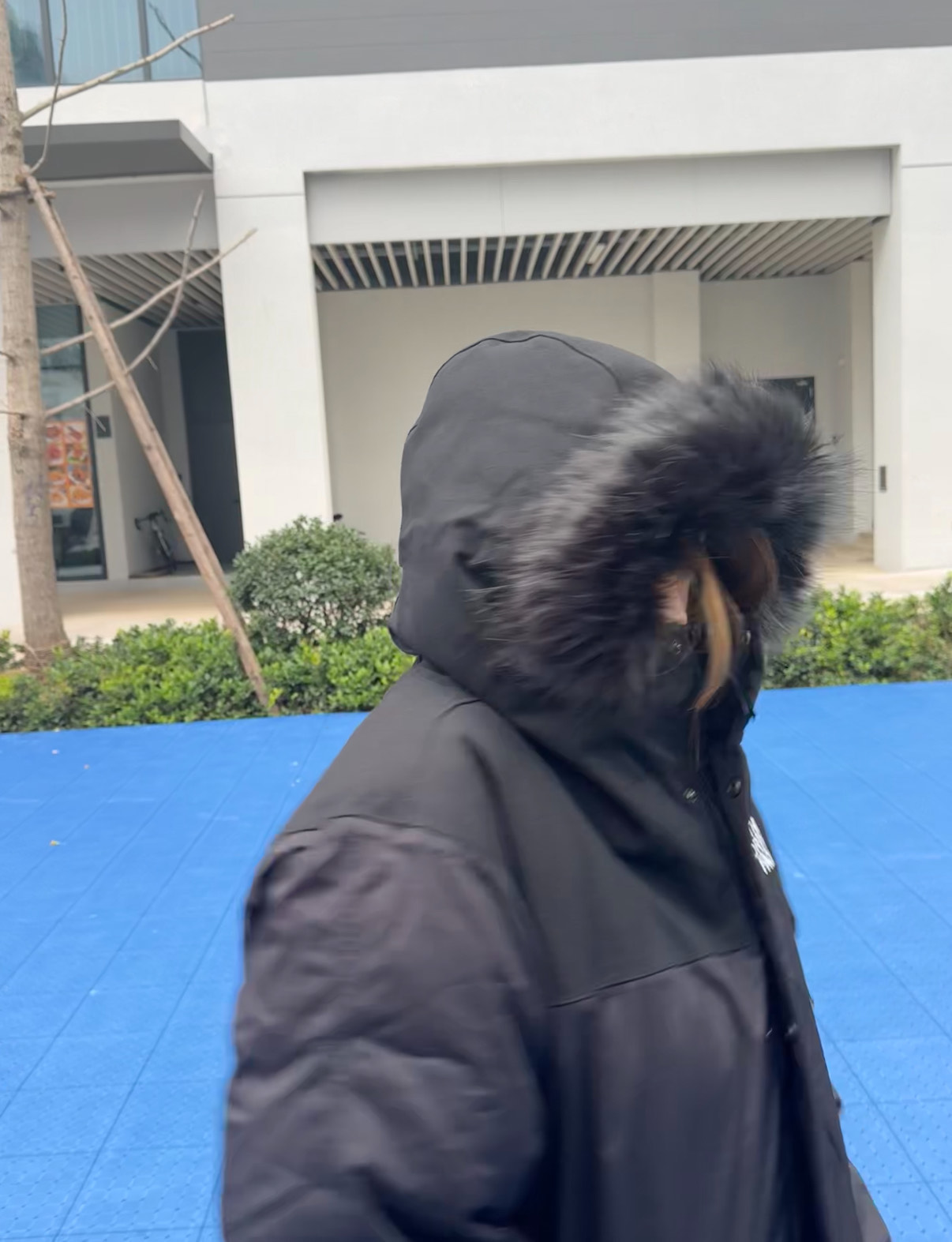 custom review-THE NORTH FACE Bedford Down Jacket Men's Black