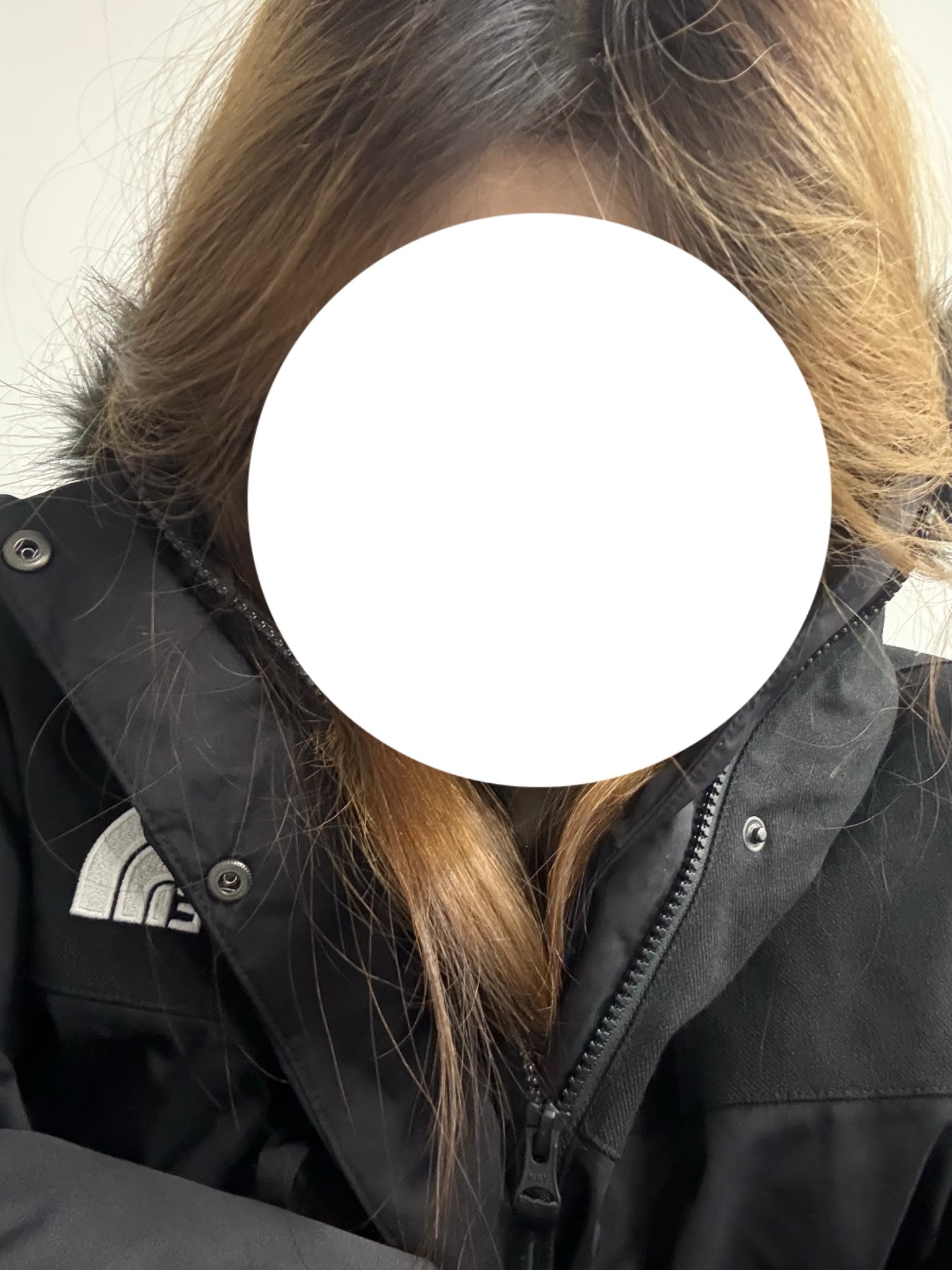 custom review-THE NORTH FACE Bedford Down Jacket Men's Black