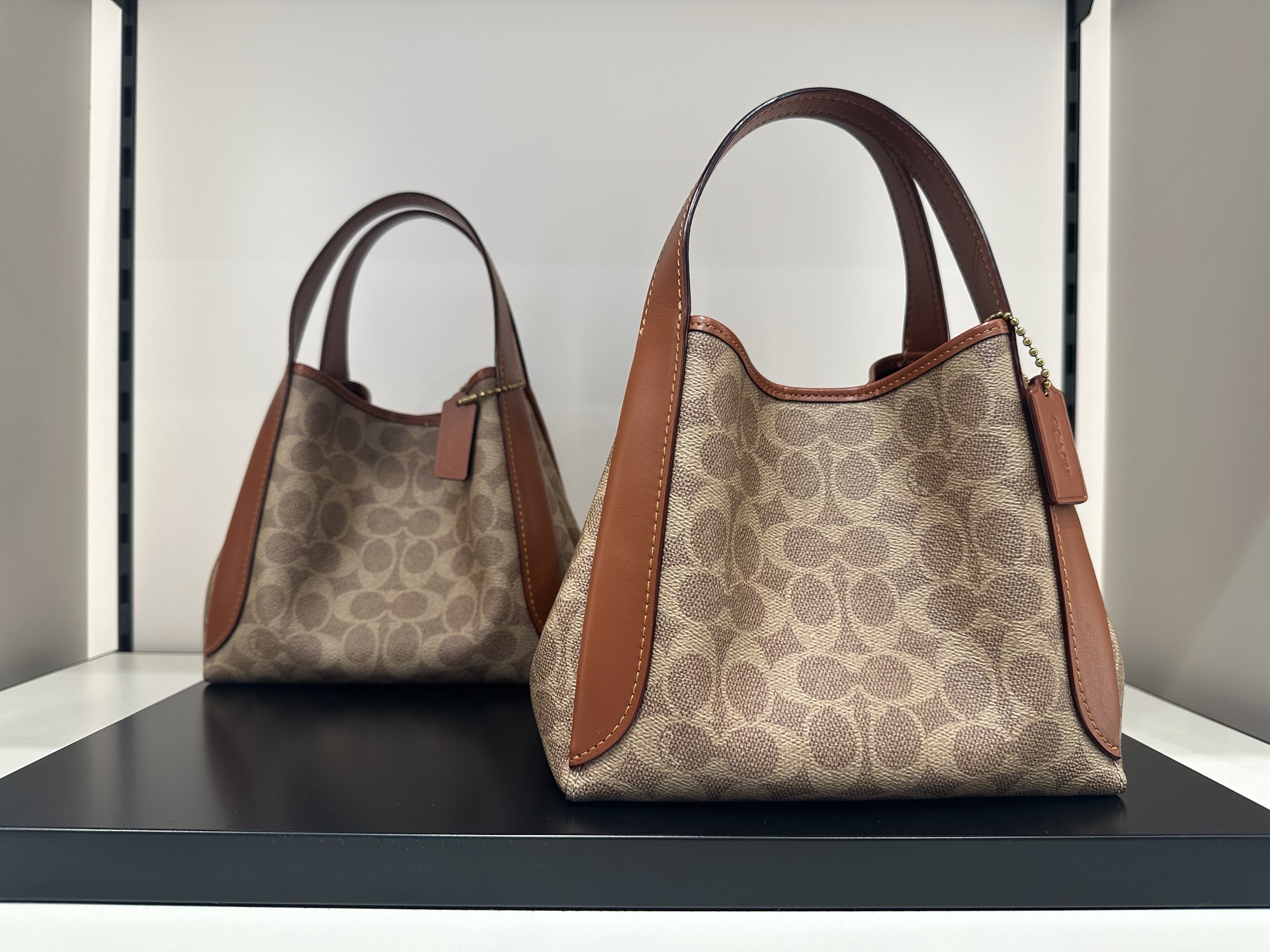 coach蔻驰菜篮子