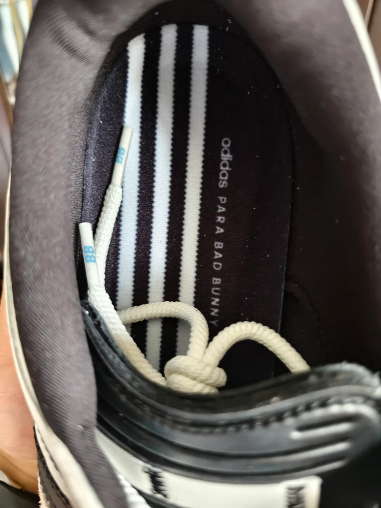 custom review-Bad Bunny X Adidas Originals GAZELLE Indoor