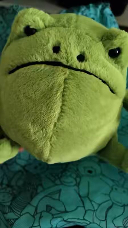 custom review-JELLYCAT Рождественская серия Дерево Дождь Лягушка Милый Куклы Плюшевая кукла 26 см Длина тела в сидячем положении