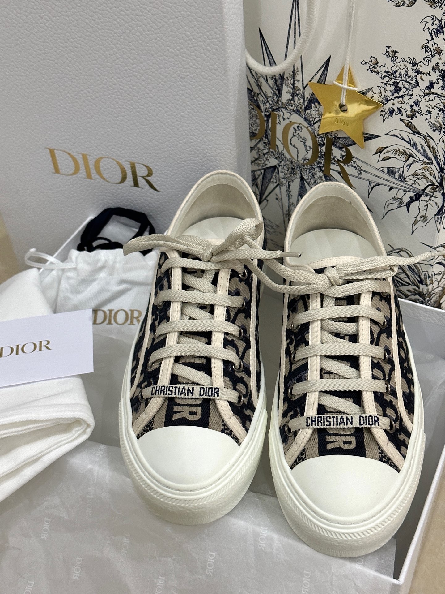 dior 老花帆布鞋