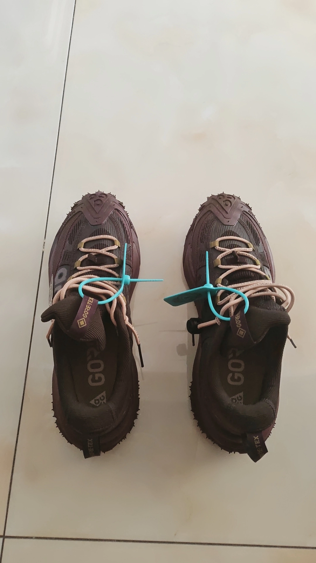 custom review-Nike ACG Mountain Fly 2 Водонепроницаемый Низкий Топ Походная обувь Унисекс Бордовый