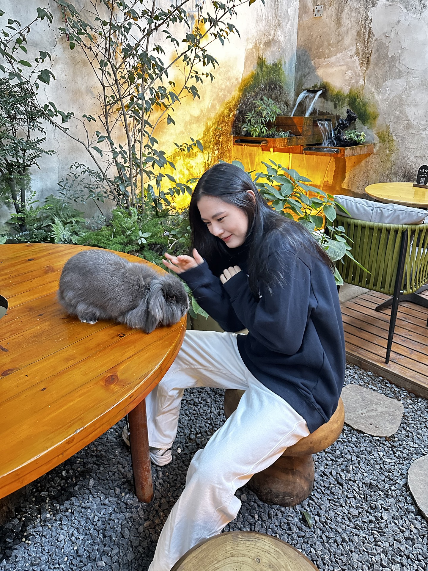 custom review-Ben.panda Унисекс Свитшоты