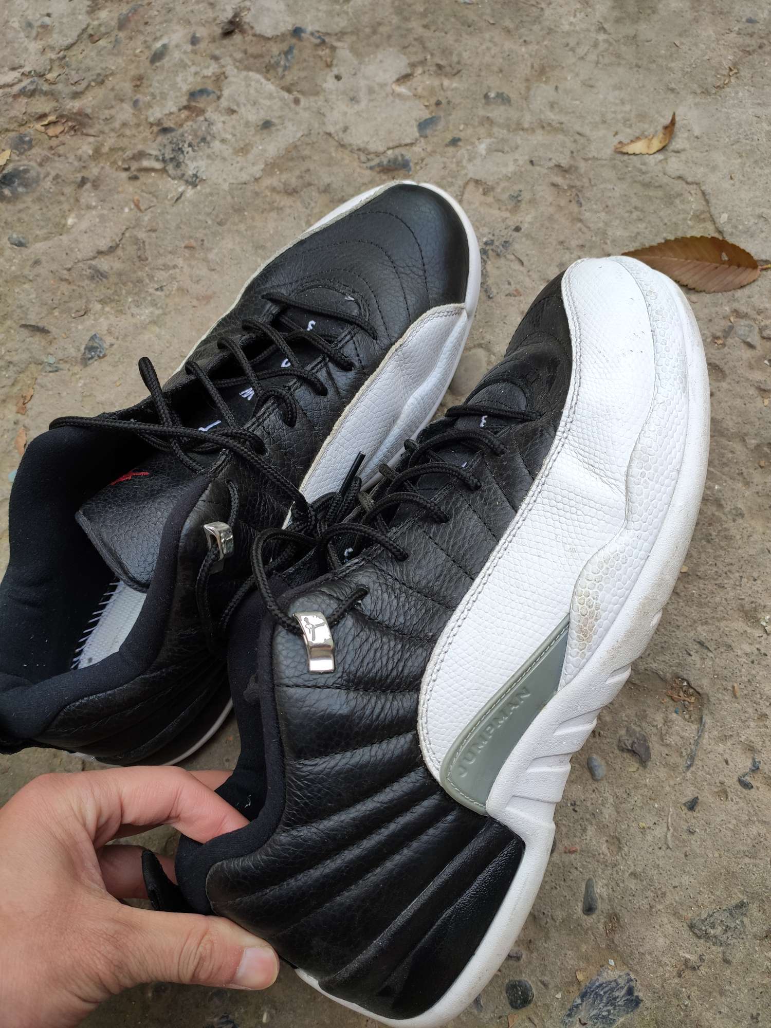 fake jordan 12 black and white
