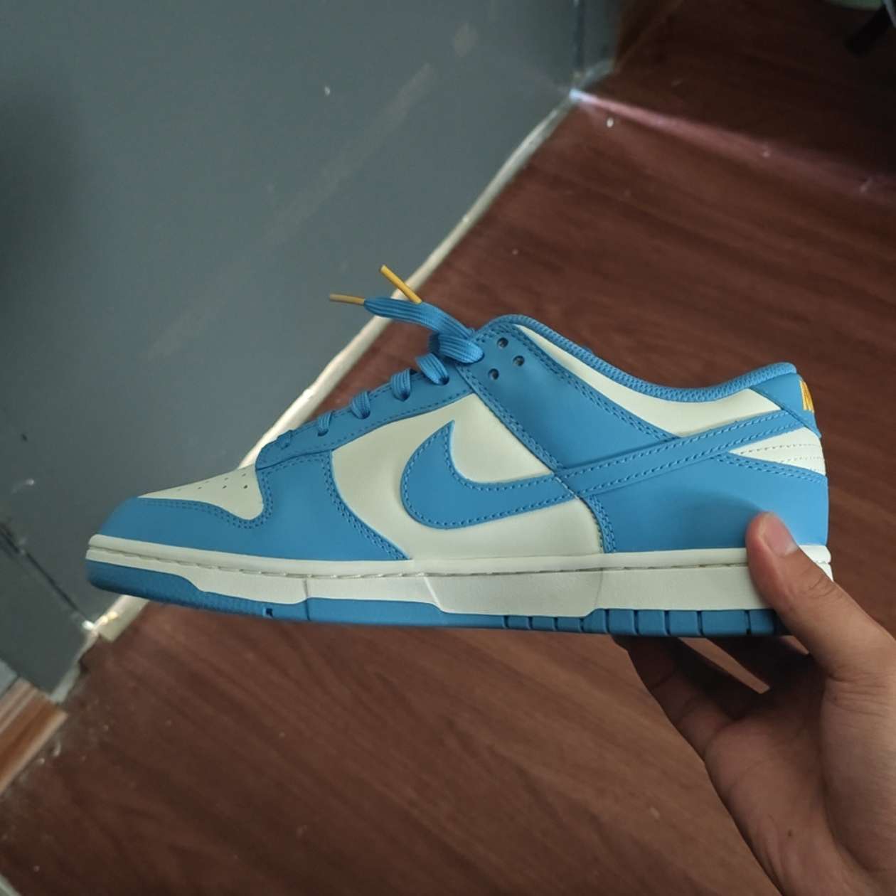 dunk low coast fake