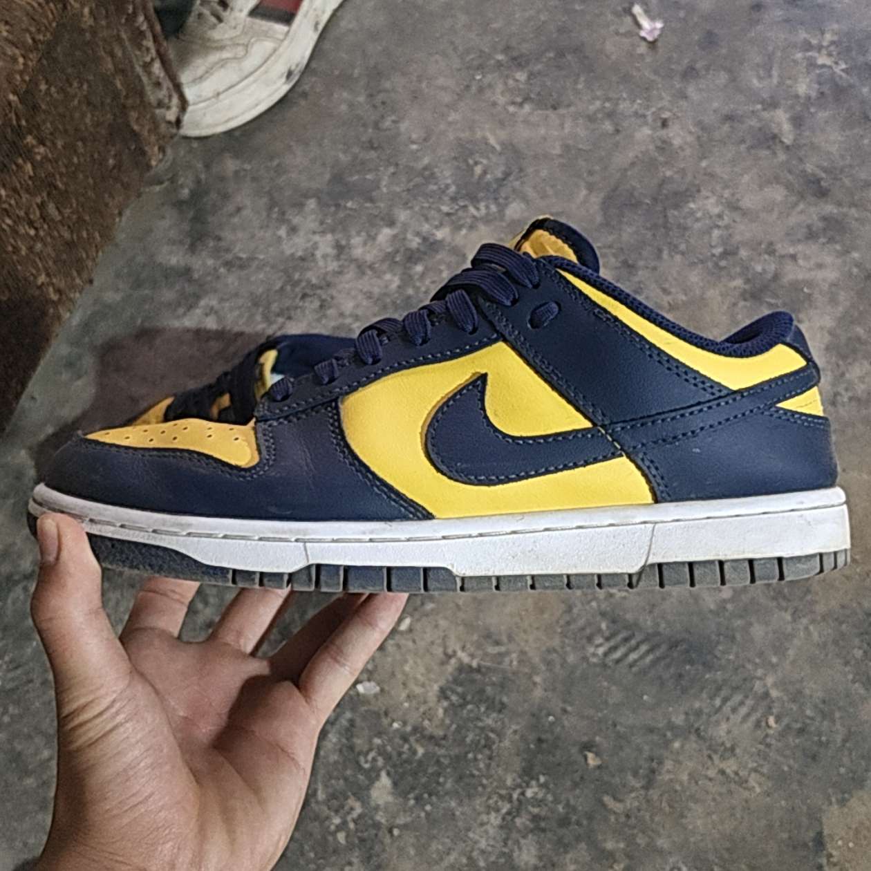 fake michigan dunks