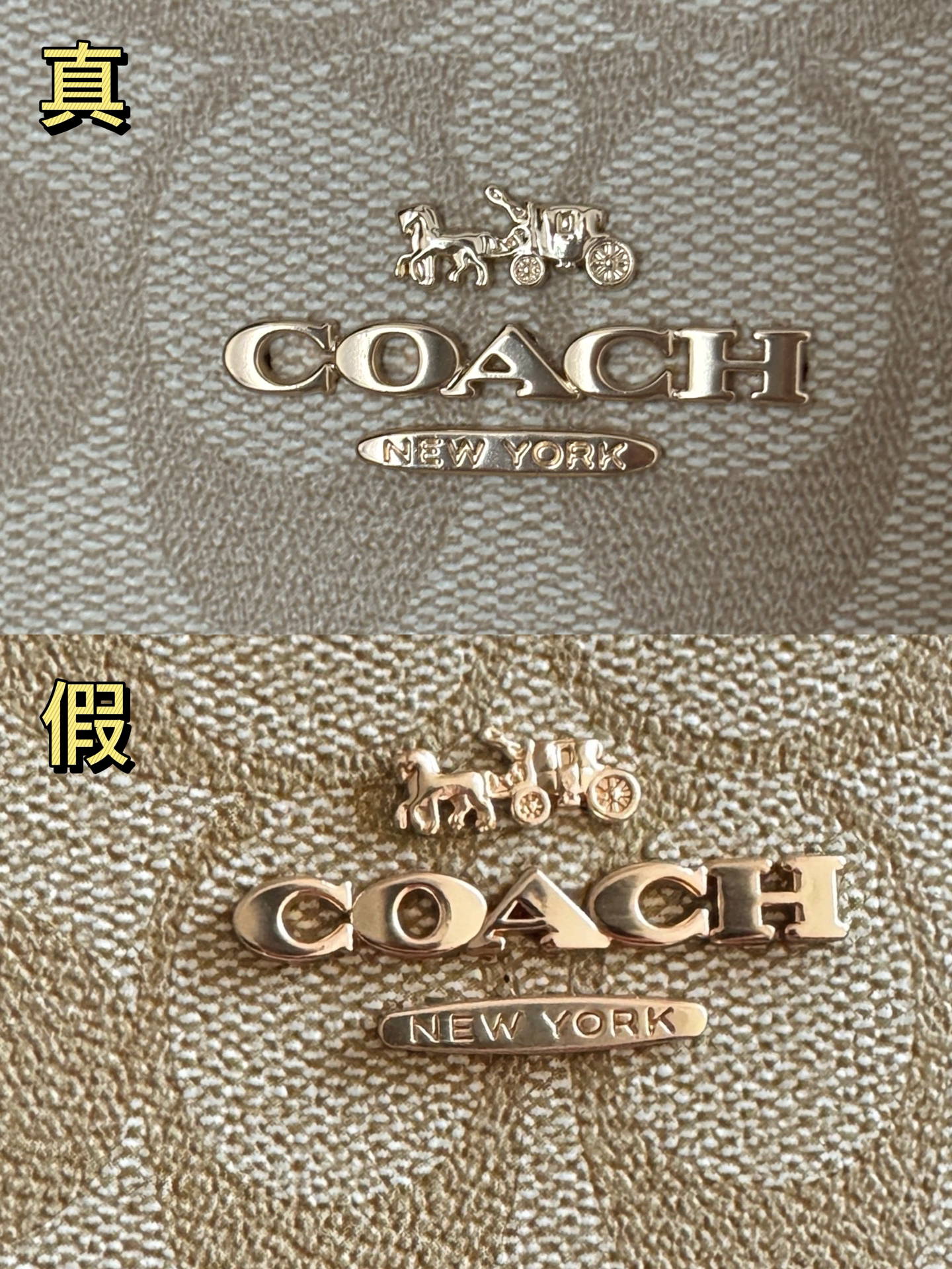coach mollie 25真假区分