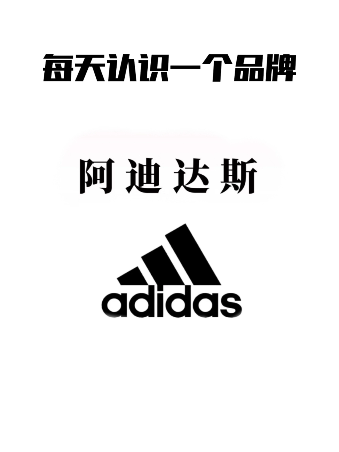 每天认识一个品牌