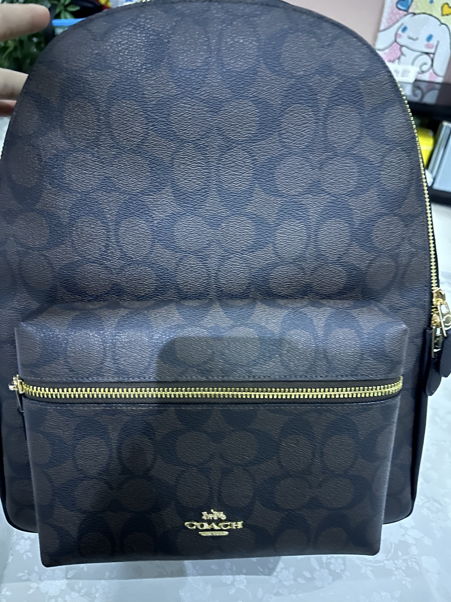 custom review-COACH Charlie Canvas Рюкзак Большой Женский Темно-Коричневый