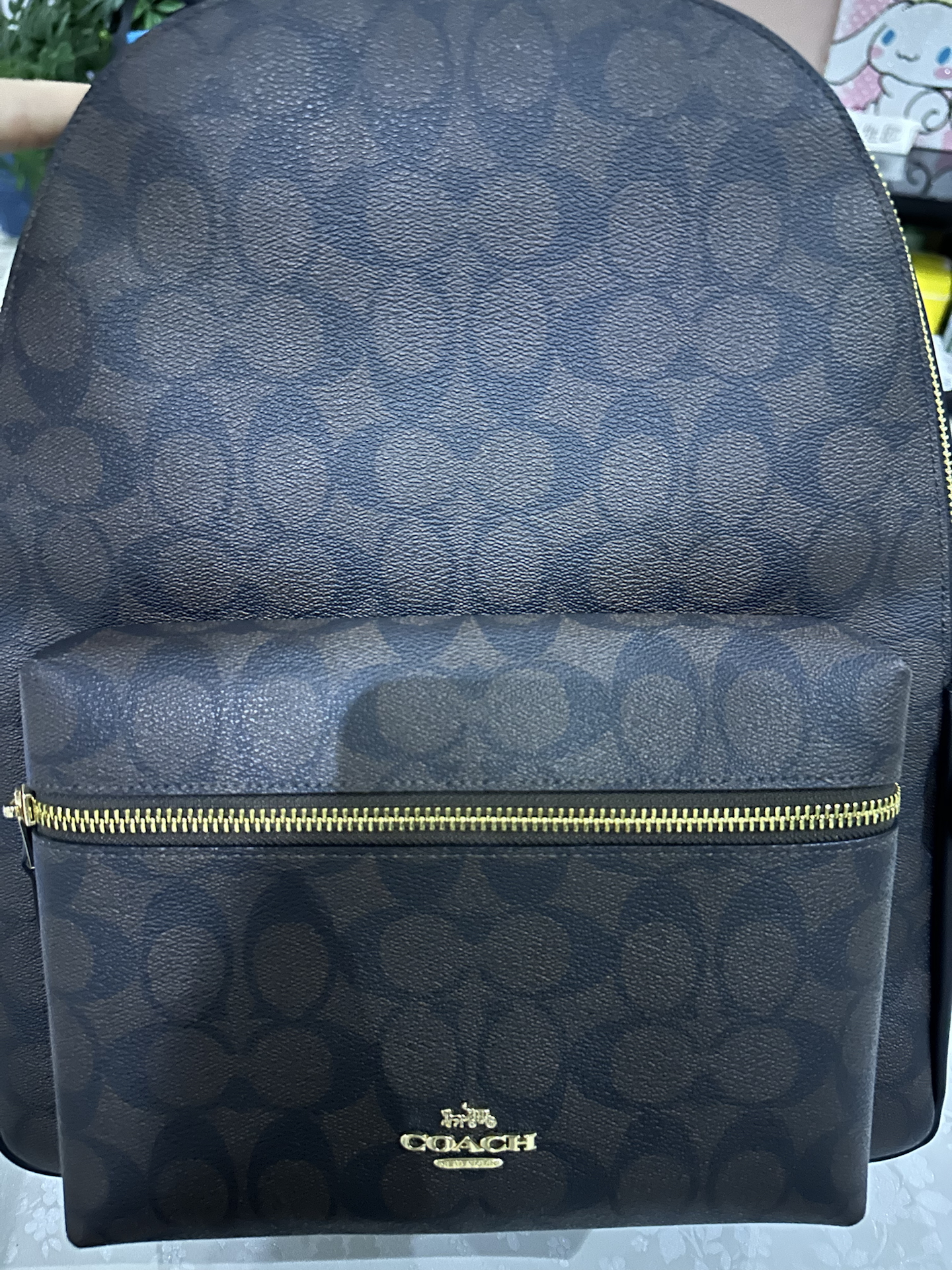 custom review-COACH Charlie Canvas Рюкзак Большой Женский Темно-Коричневый