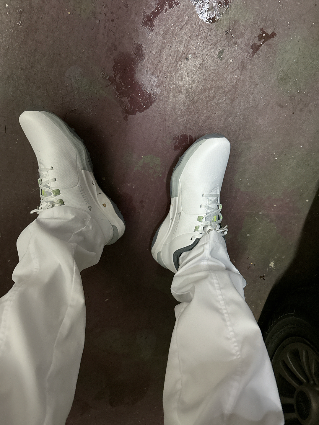 Фото из отзыва