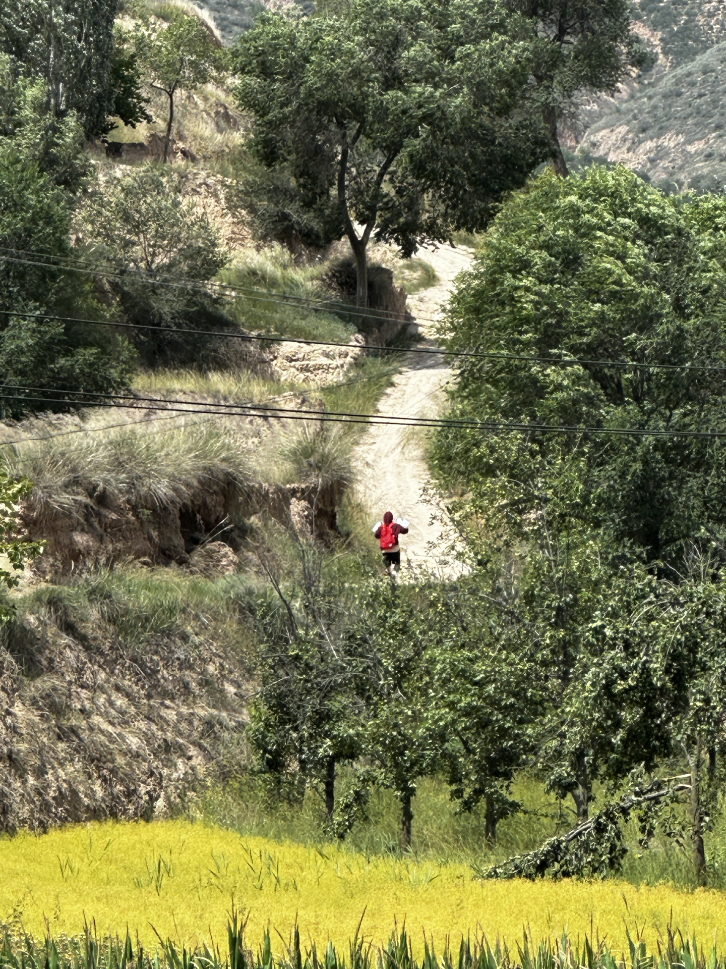 custom review-Конверс Полиэстер Рюкзак Стандартный (Standard) Унисекс Красный