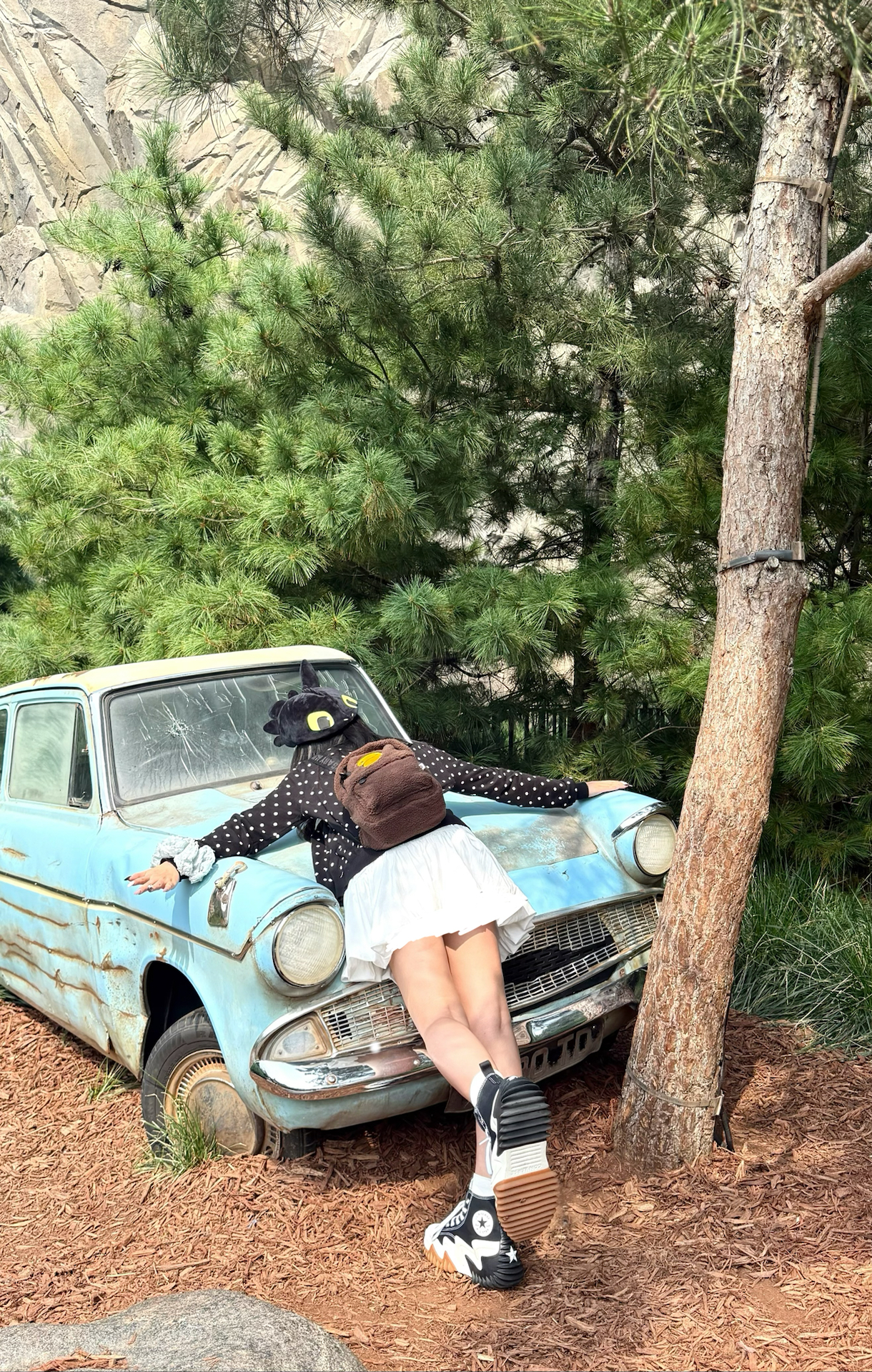 custom review-A BATHING APE Полиэстер Рюкзак Стандартный (Standard) Унисекс Коричневый