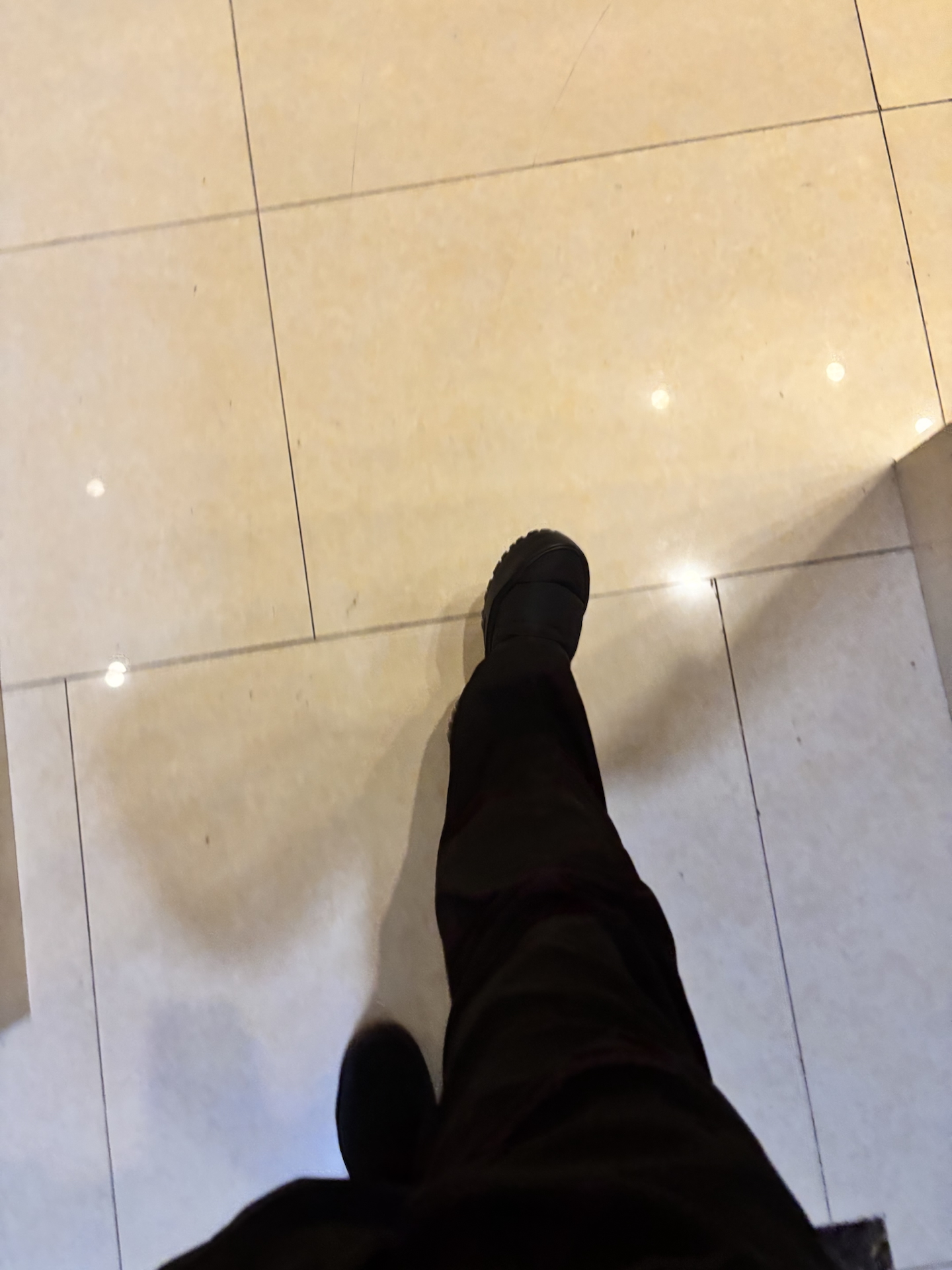 custom review-THE NORTH FACE ThermoBall Водонепроницаемый и Теплый Повседневная обувь Унисекс Черный