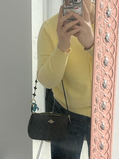 custom review-COACH Nolita Покрытый холст Сумка через плечо Женская Золотая Ореховая Черная