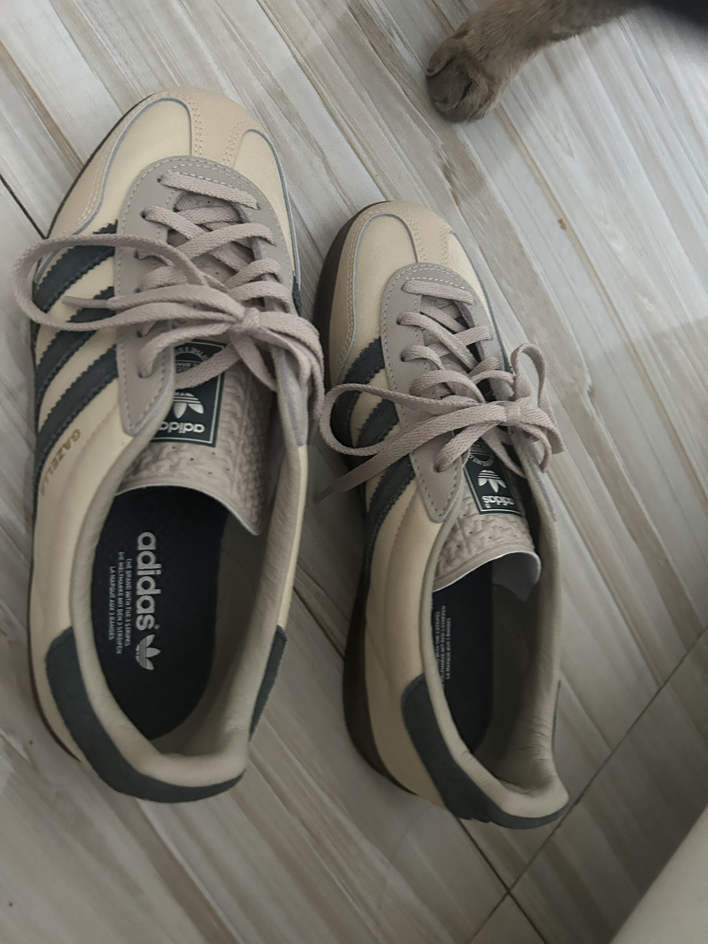 Фото из отзыва