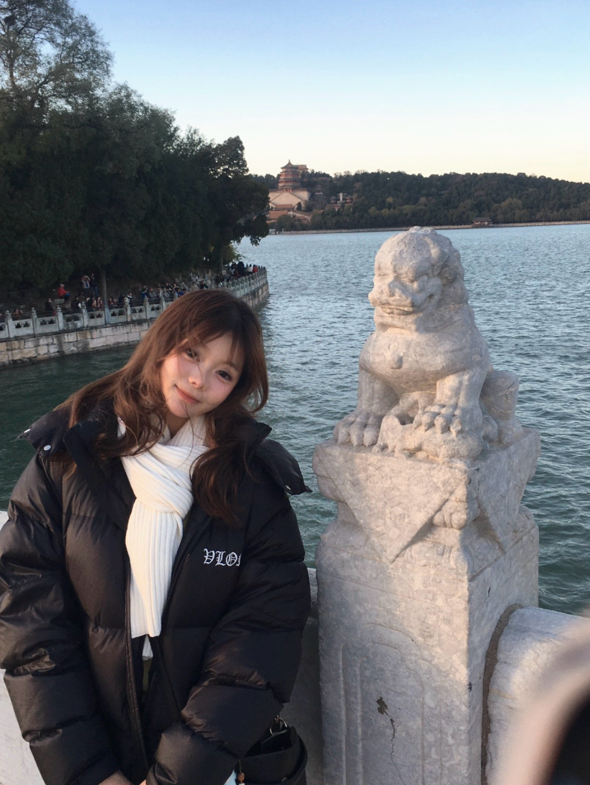 custom review-VLONE Пуховик Зимний Унисекс Черный Белый