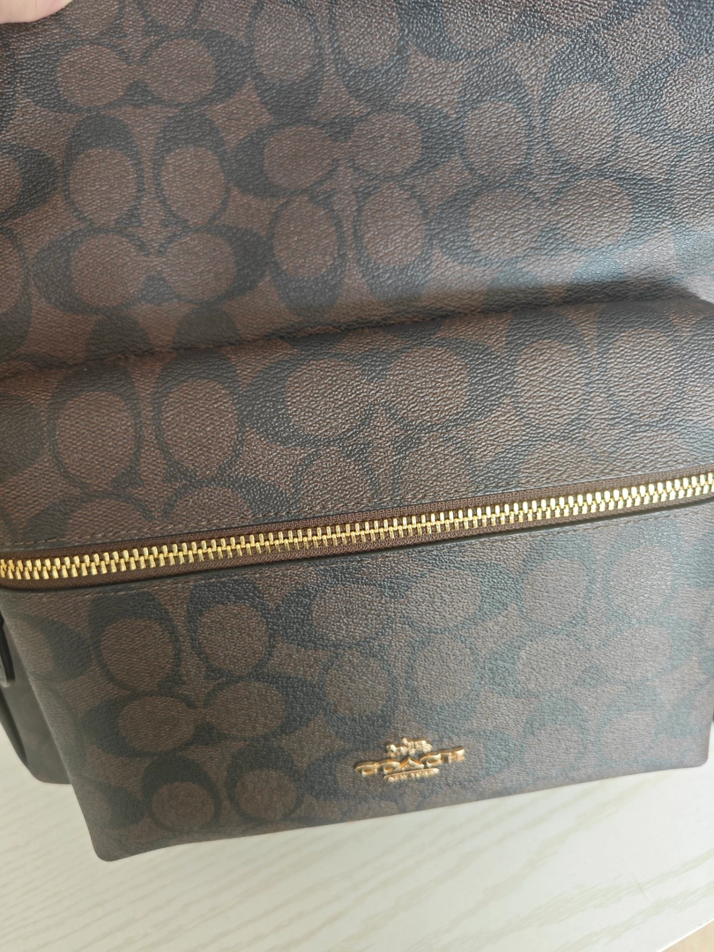 custom review-COACH Charlie Canvas Рюкзак Большой Женский Темно-Коричневый