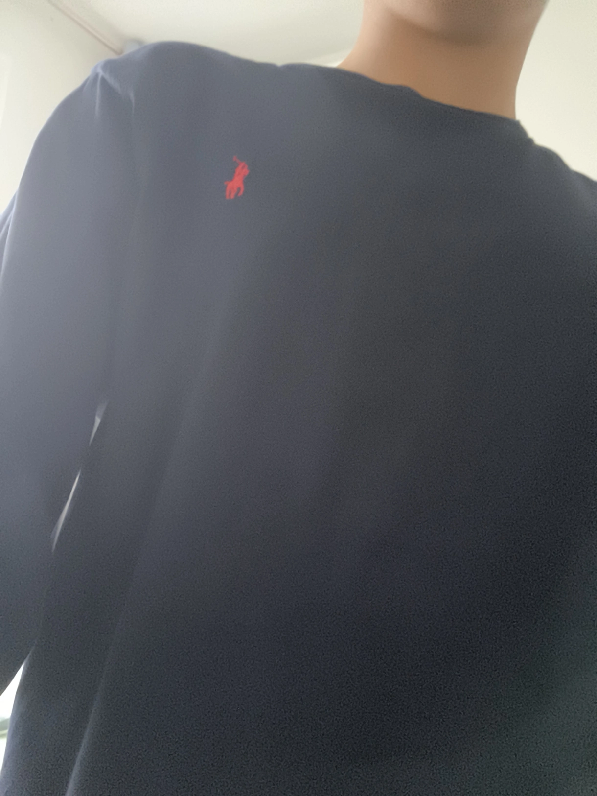 custom review-Polo Ralph Lauren Свитшот SS22 Синий Детский
