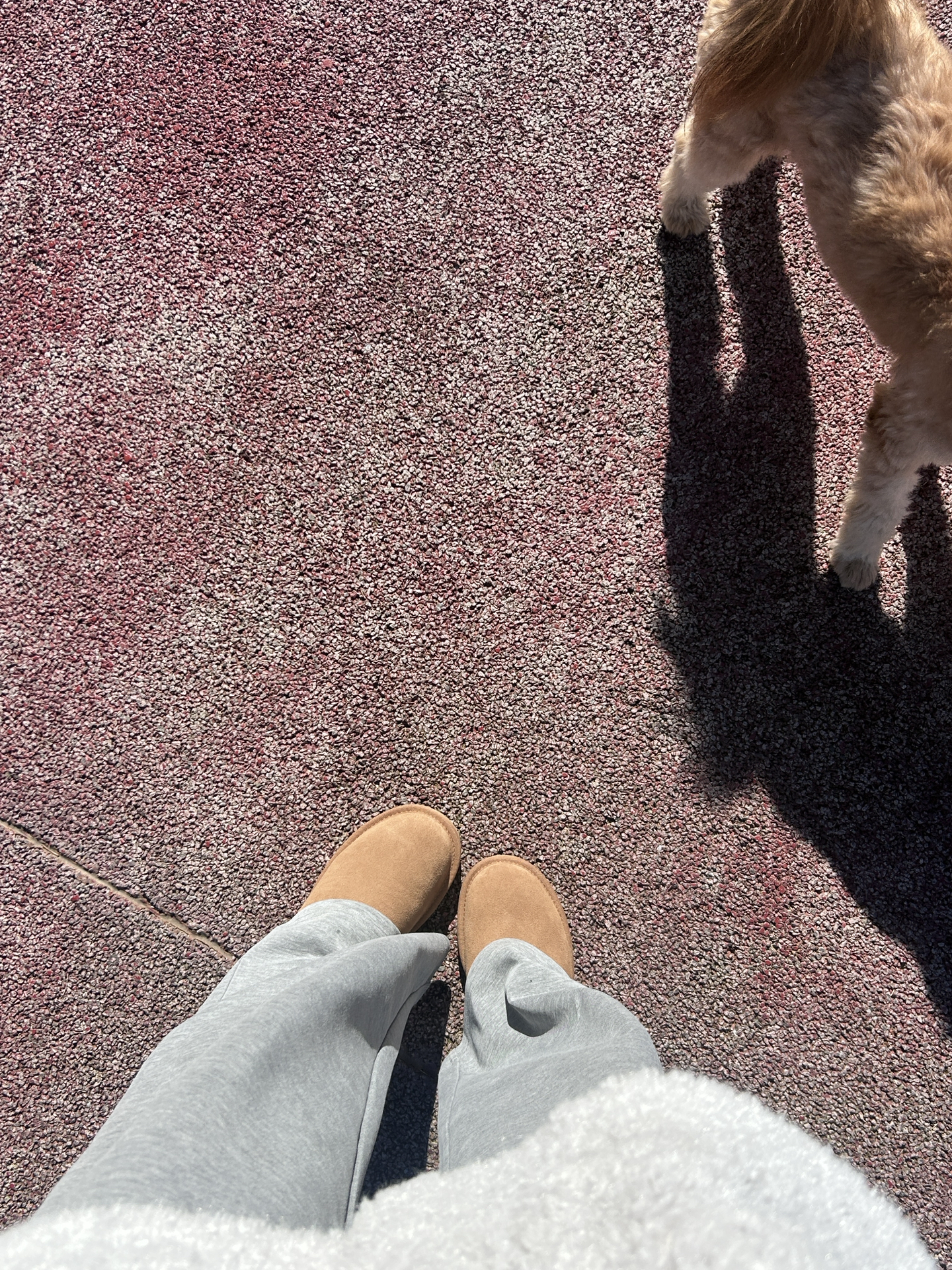 custom review-UGG Классический Micro Thermal Снежные ботинки Женские Коричневые