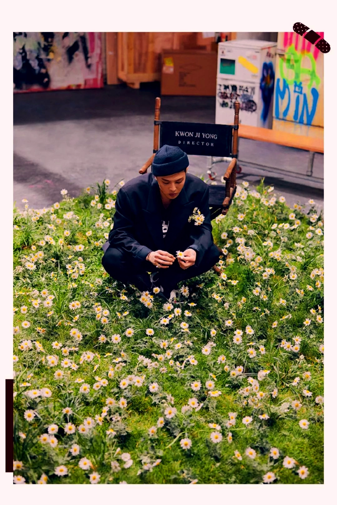 为什么独爱白色小雏菊花?