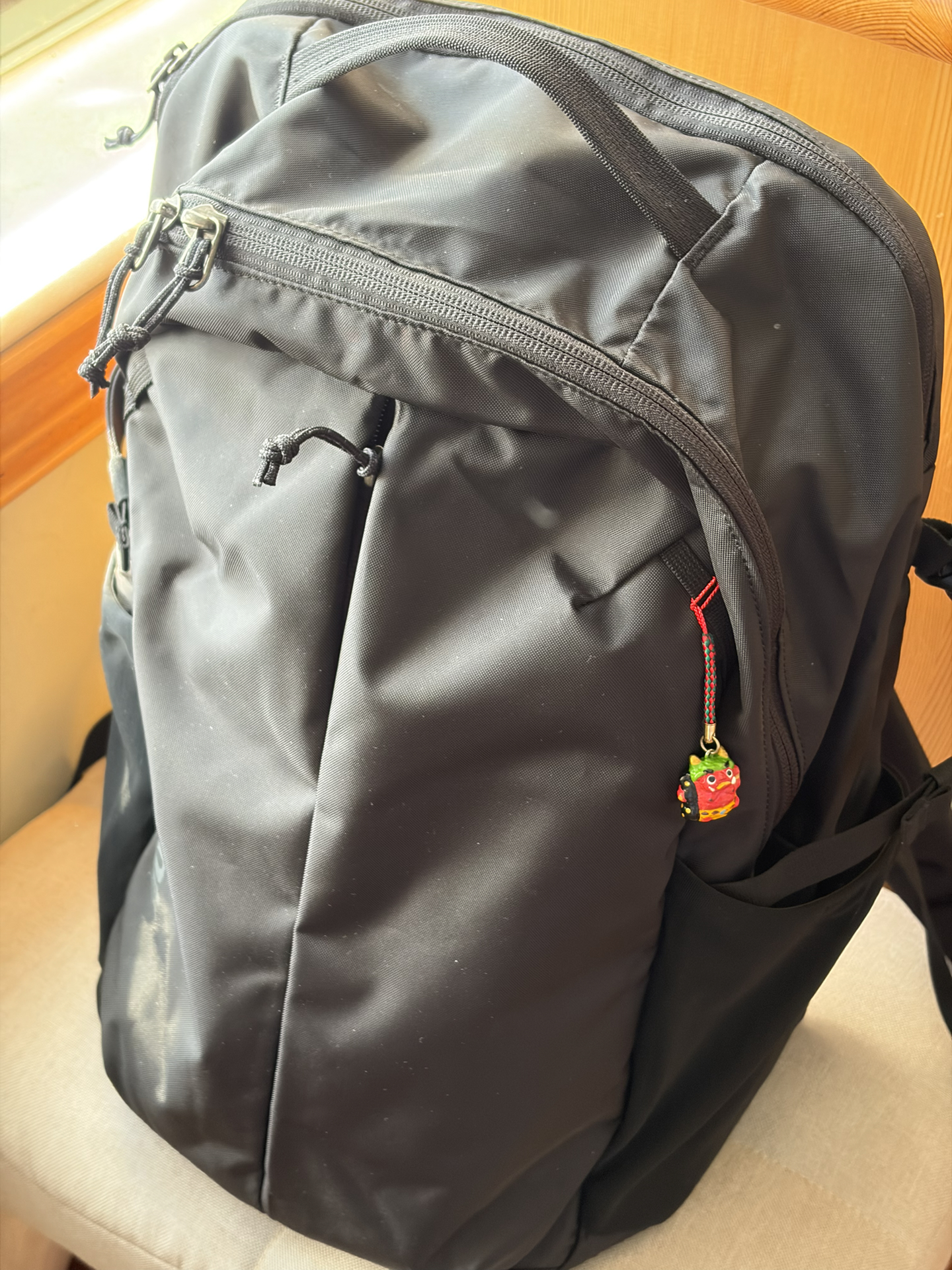 custom review-Patagonia 26L Outdoor Backpack Polyester Black Unisex Патагония 26L Outdoor Рюкзак Полиэстер Черный Унисекс