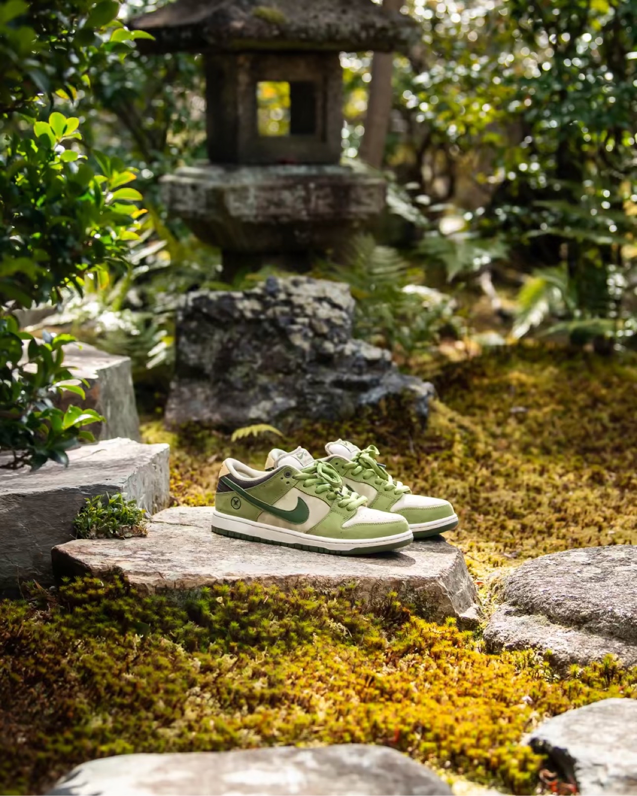 nike sb dunk low pro