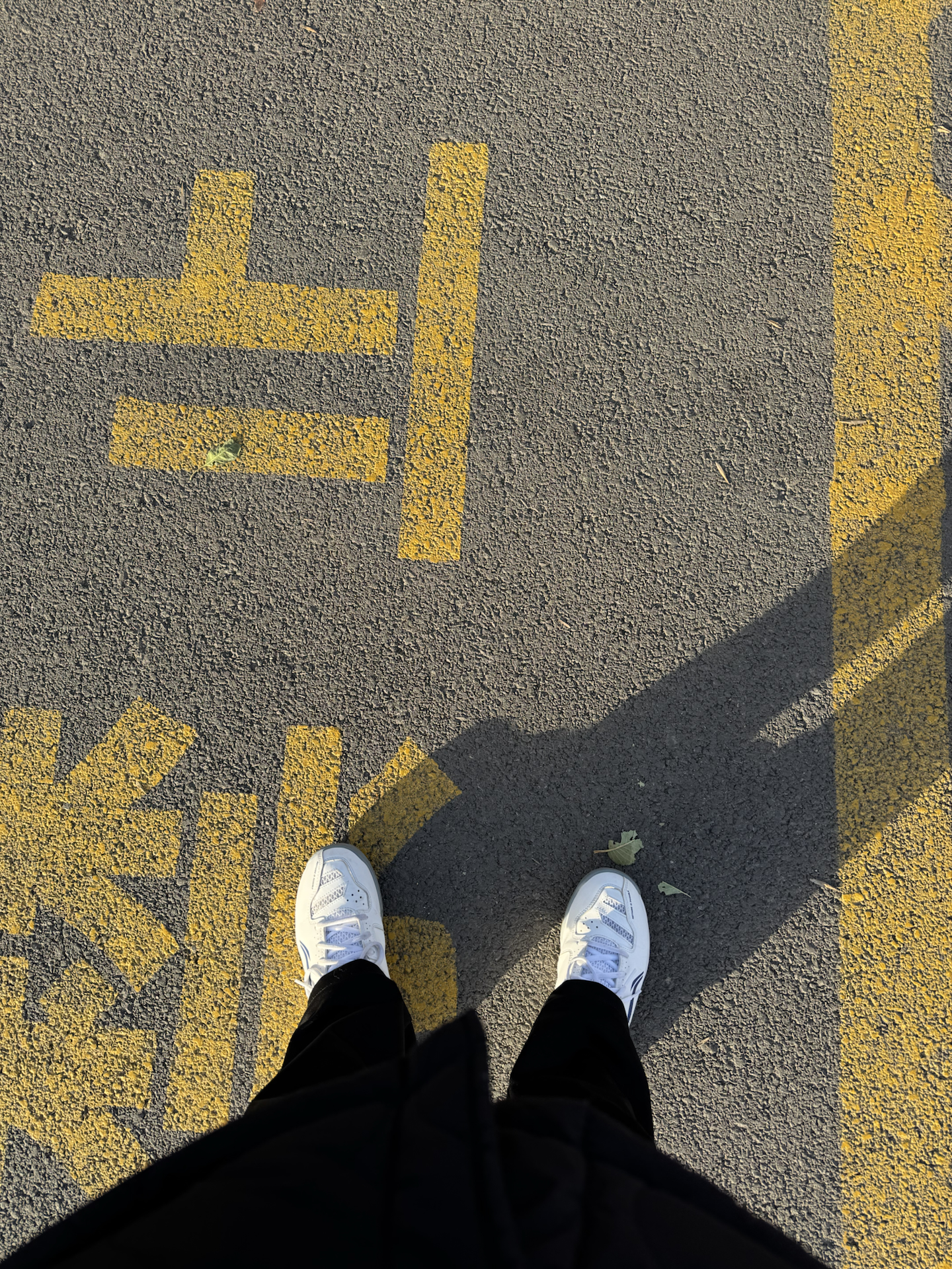 custom review-ЛИНЕЙКА Перо Амортизация Устойчивый к истиранию Дышащий Легкий Низкий Топ Бадминтон Обувь Унисекс Стандартный Белый