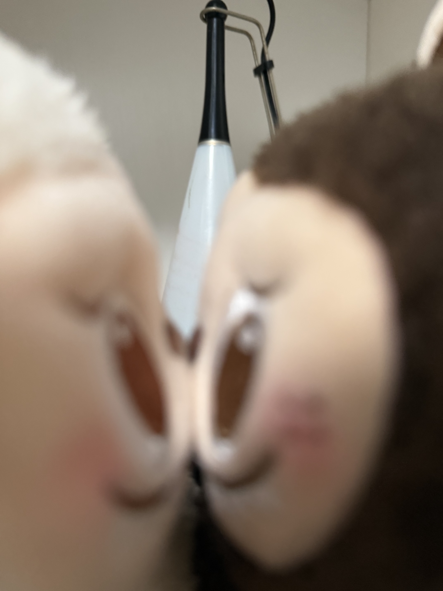 custom review-POP MART LABUBU Beijing Popland Ограниченная Версия Плюшевая Подвеска Коллекционная Фигурка