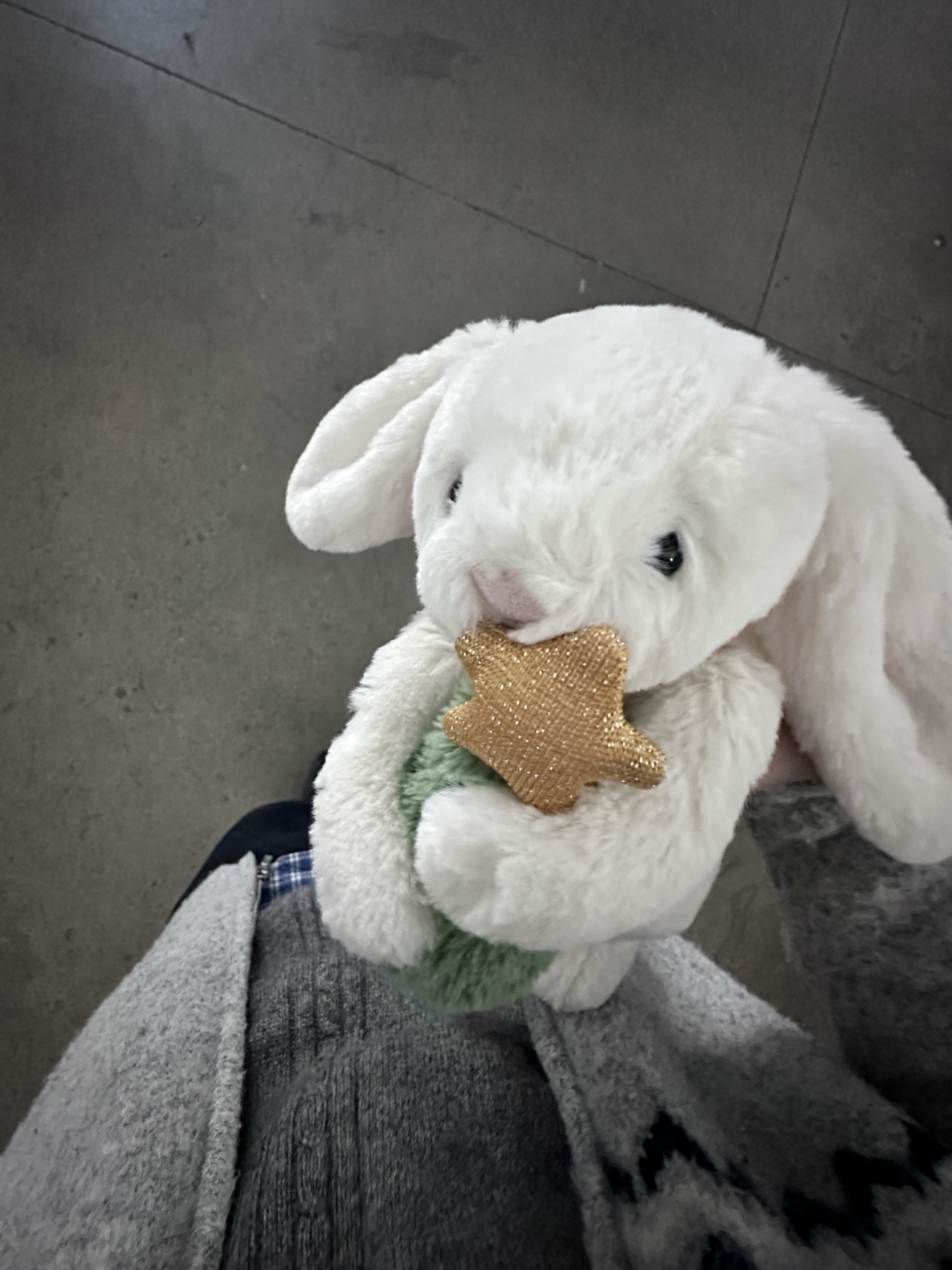 custom review-JELLYCAT Кролик Shy Bunny и Рождественские деревья Милые Куклы Плюшевая кукла Высота в сидячем положении 15 см
