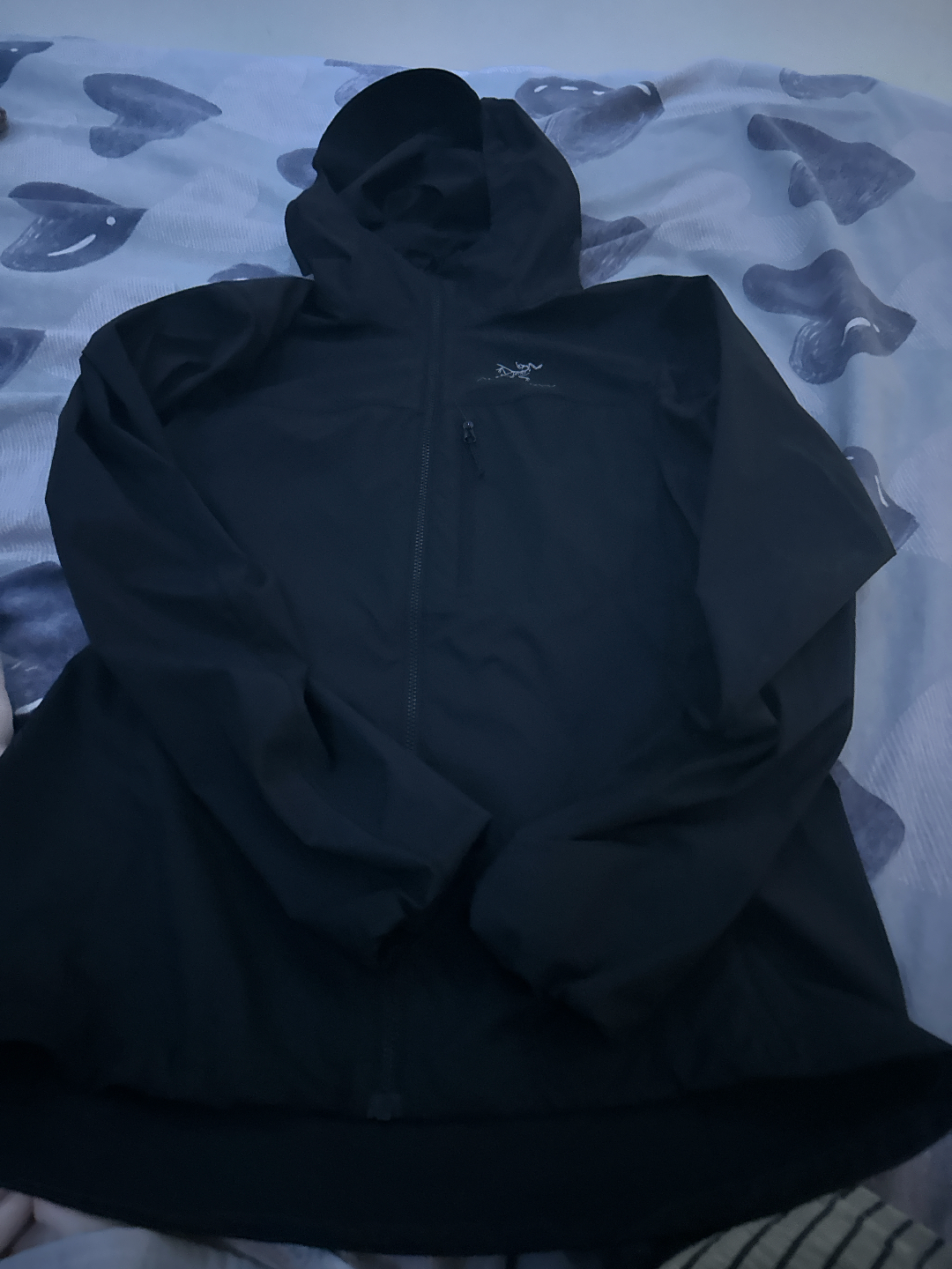 custom review-Arcteryx SQUAMISH HOODY Спортивная Ветрозащитная Оболочка С Капюшоном, Однотонный Принт С Логотипом, Молния, Легкий