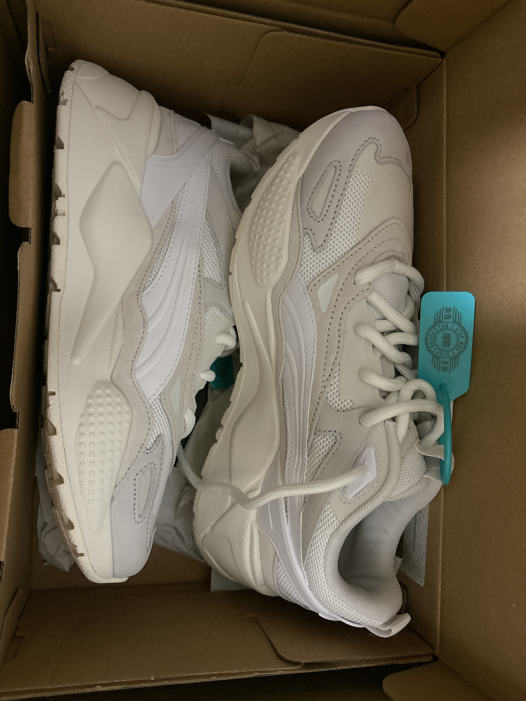 custom review-PUMA RS X Efekt Prm Abrasion Resistant Низкий Топ Повседневная Обувь Унисекс Белый Серый