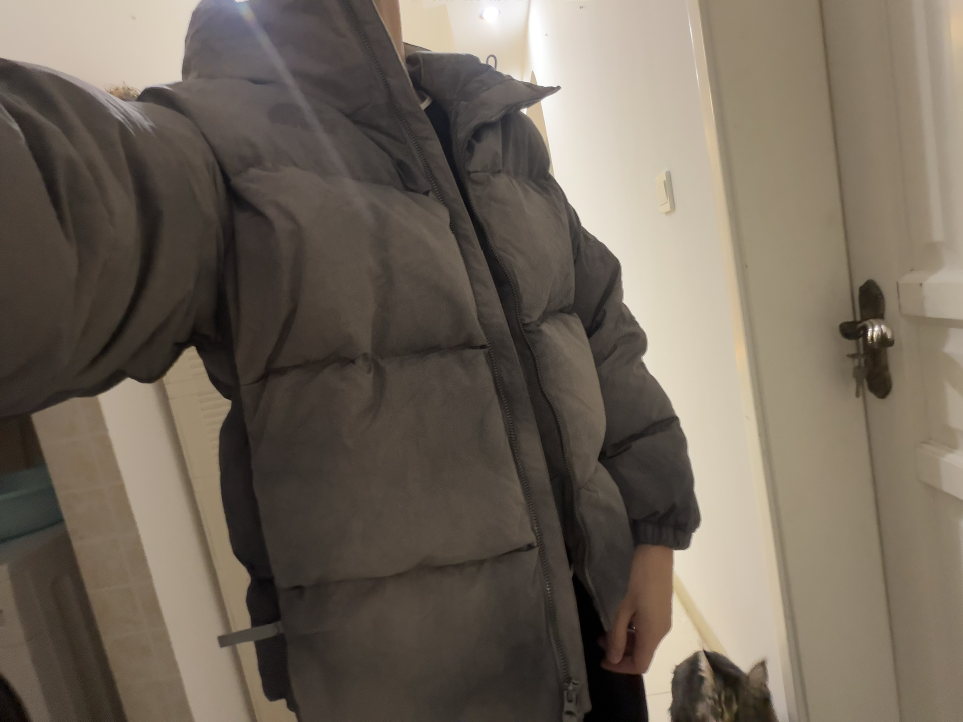 custom review-The North Face Пуховики и зимние пальто унисекс серого цвета