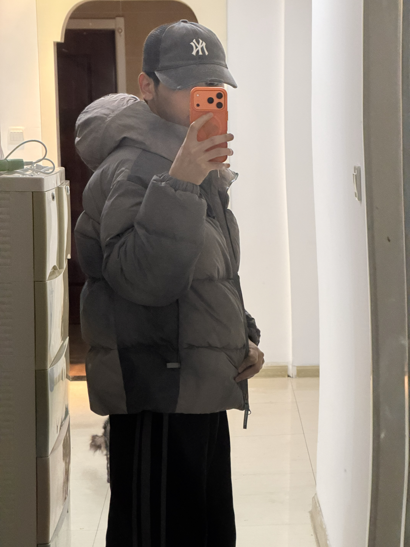 custom review-The North Face Пуховики и зимние пальто унисекс серого цвета