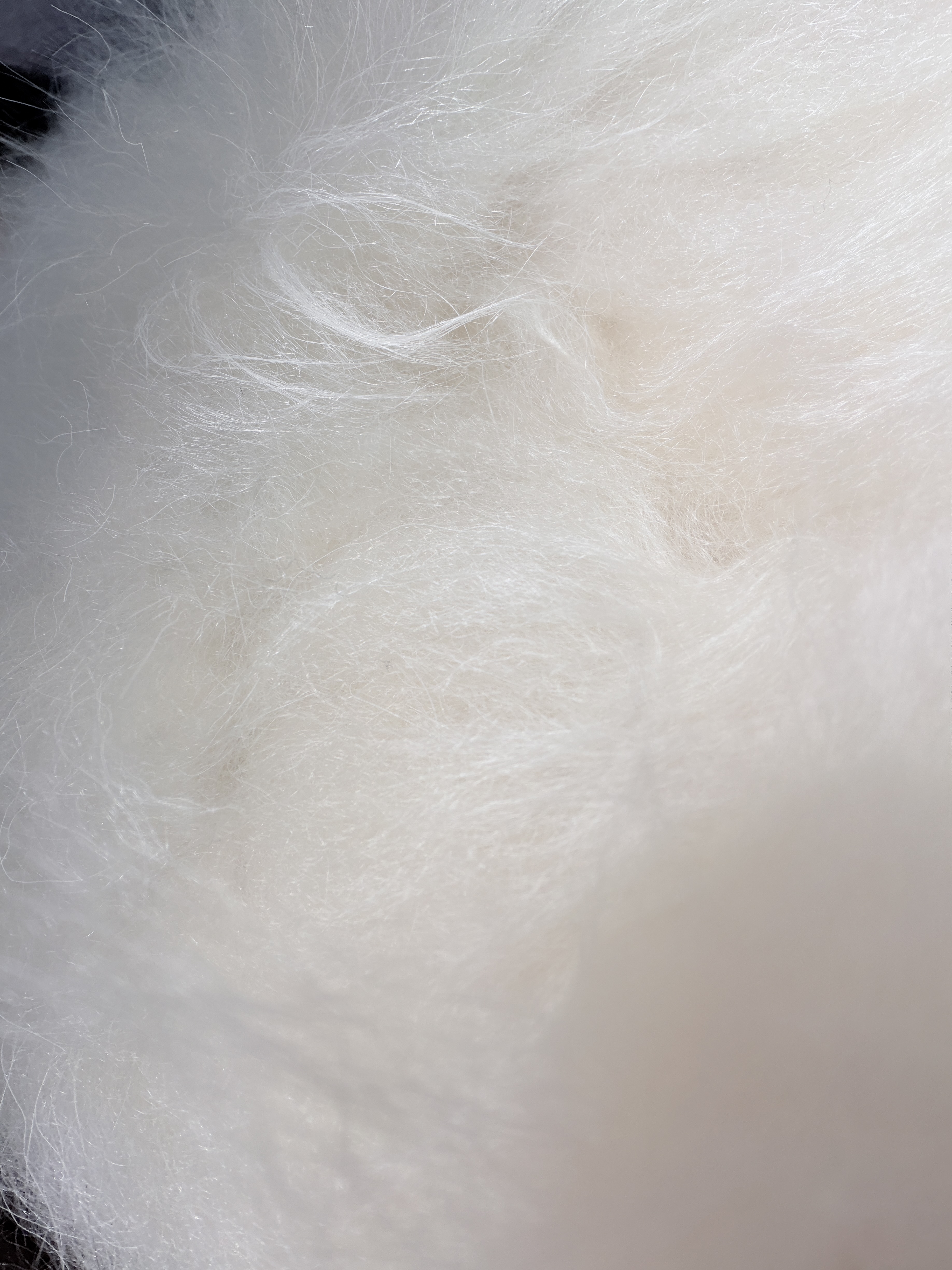 custom review-Коллекция MADOFIT Жилет Женские