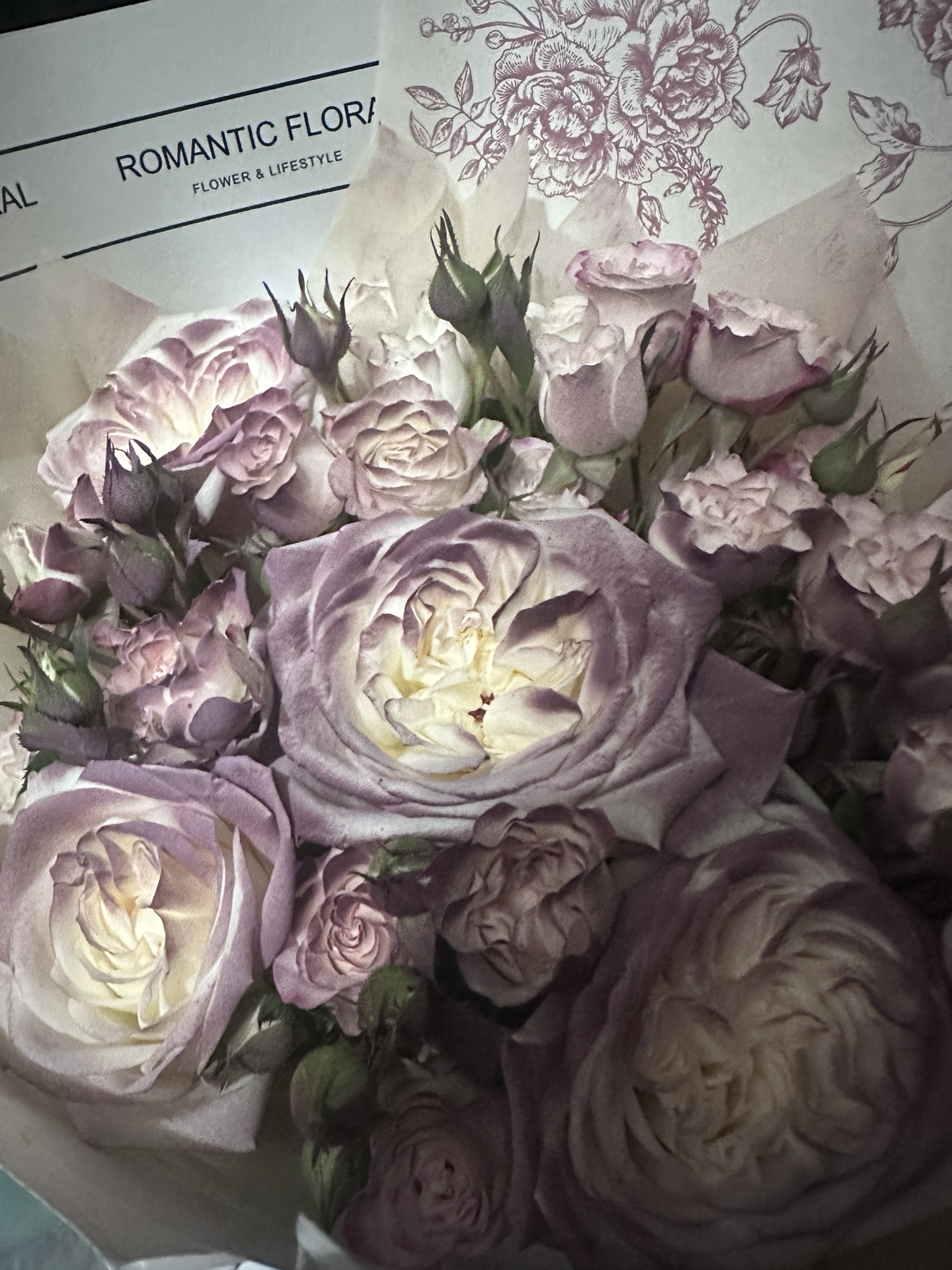 custom review-Серьги Element Swarovski Женские Белые Золотые