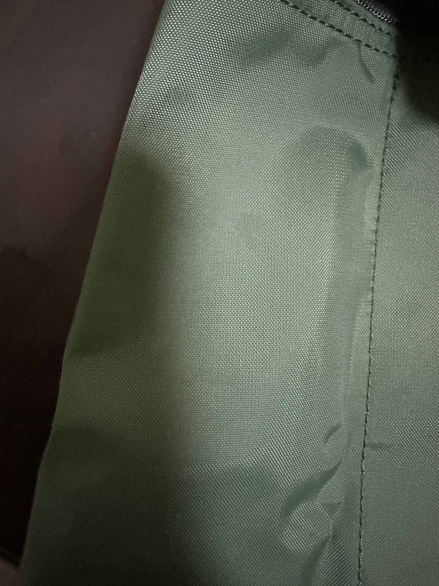 custom review-LONGCHAMP Le Pliage Холст Рюкзак Средний Женский Шалфей Зеленый