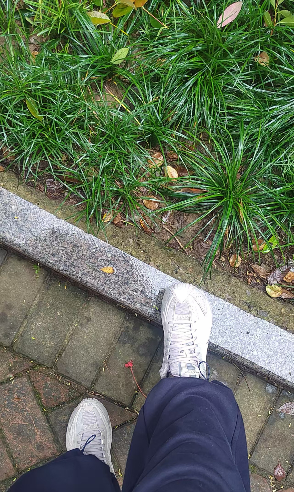 custom review-Nike Shox R4 Дышащая Поддержка Низкий Топ Повседневные Беговые Кроссовки Женские Серые