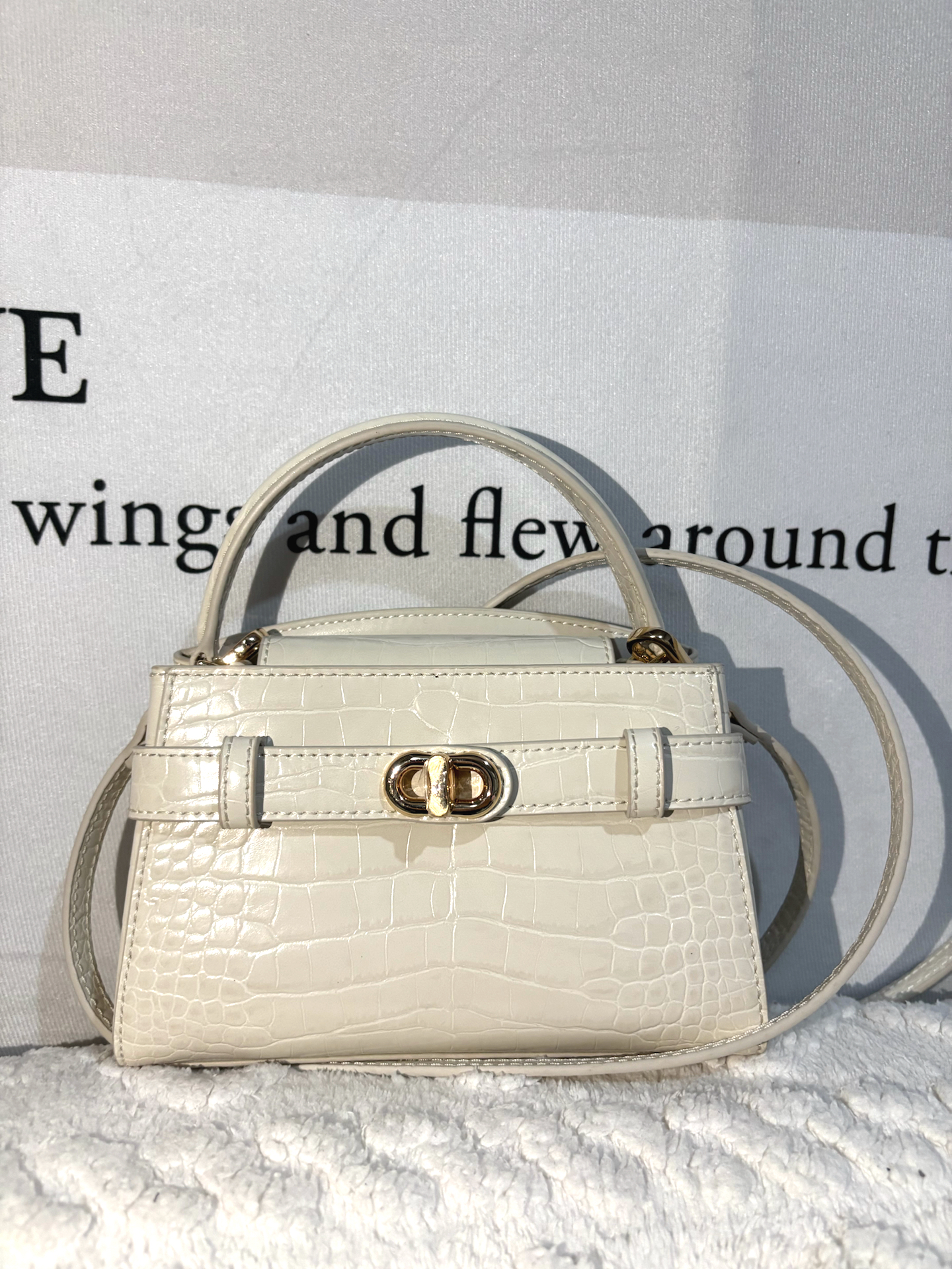 小ck小号鳄鱼纹凯莉包,早秋聚会背太合适了