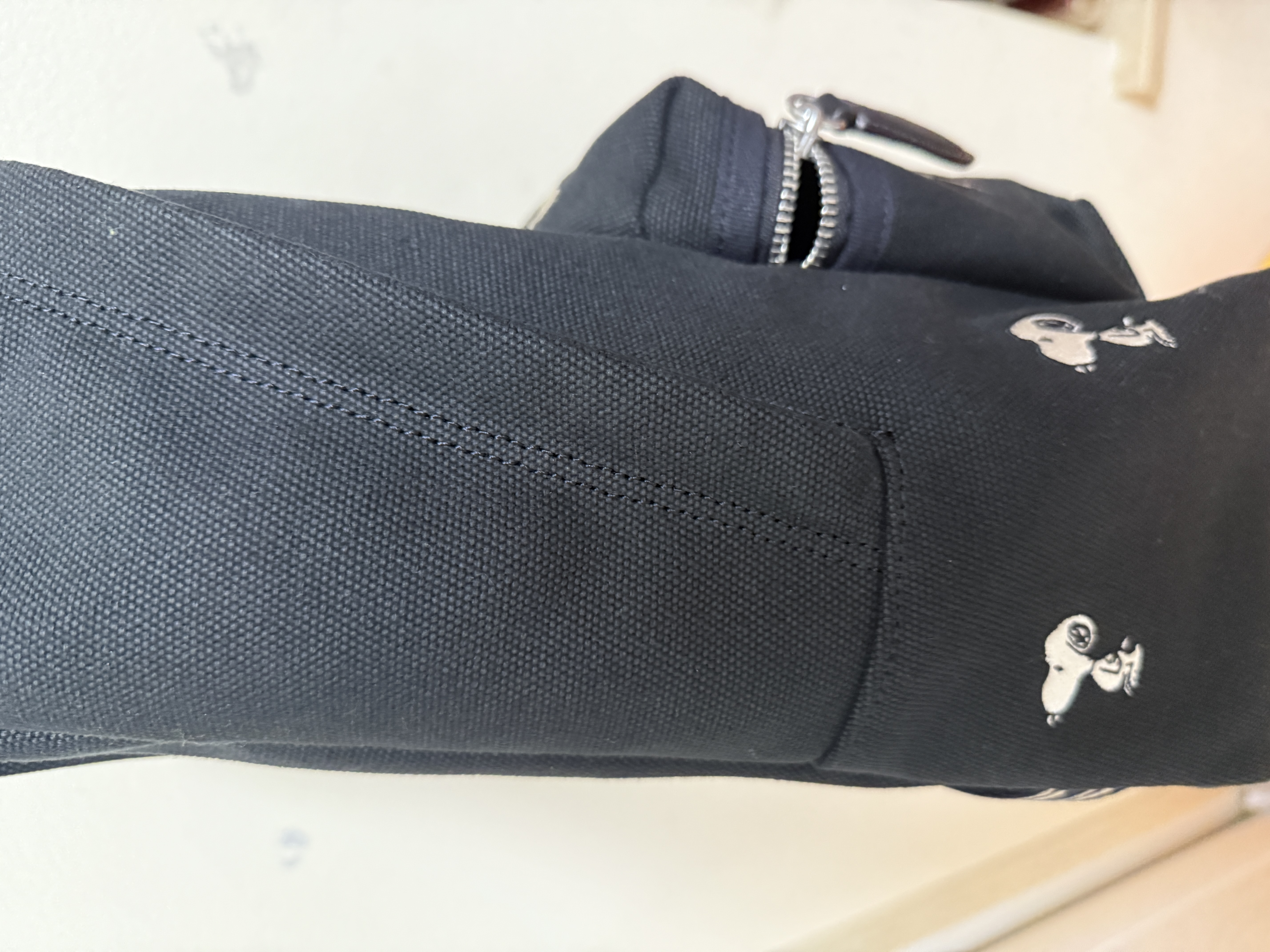 custom review-COACH Peanuts SNOOPY Коллаборация Cargo Холст и Сатин Рюкзак Большой Женский Черный Смешанный Цвет