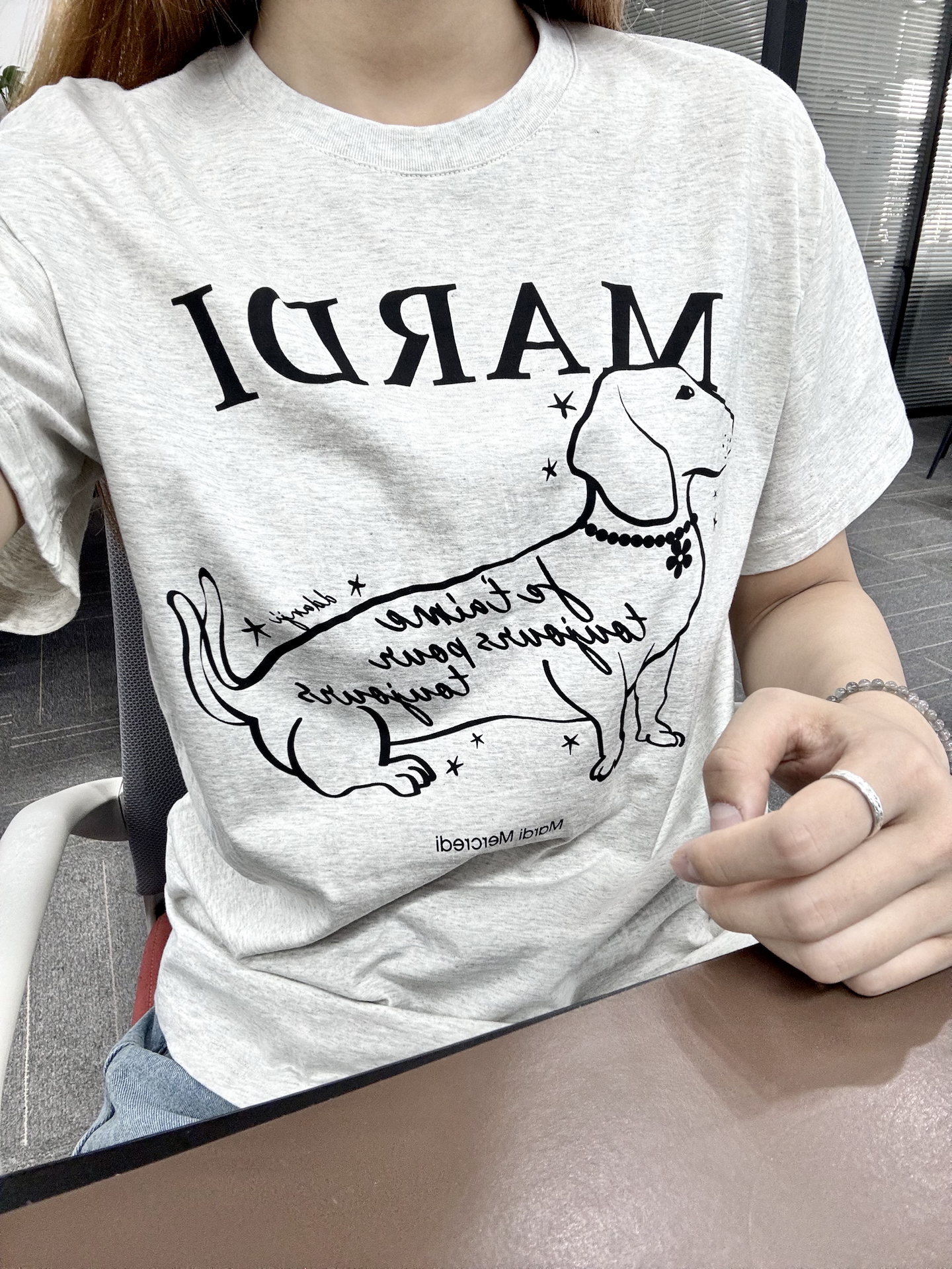 白色腊肠犬幼犬图片